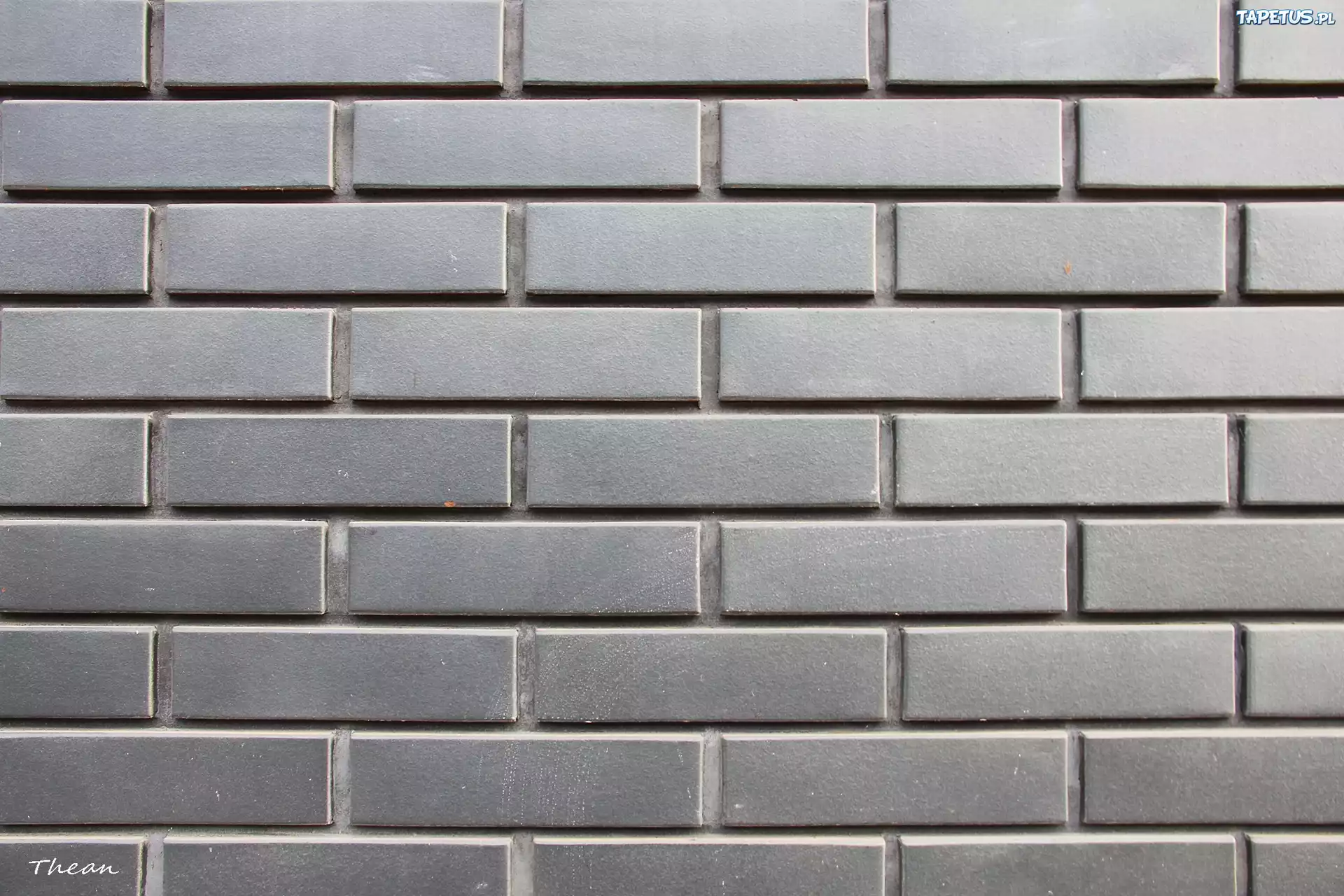 Ściana, Cegła, Mur