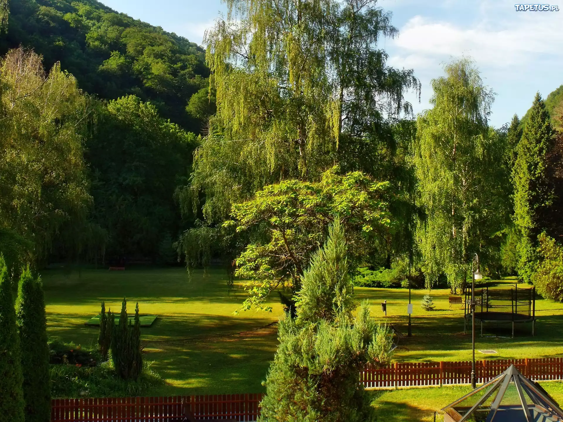Park, Płotek, Zieleń, Lato