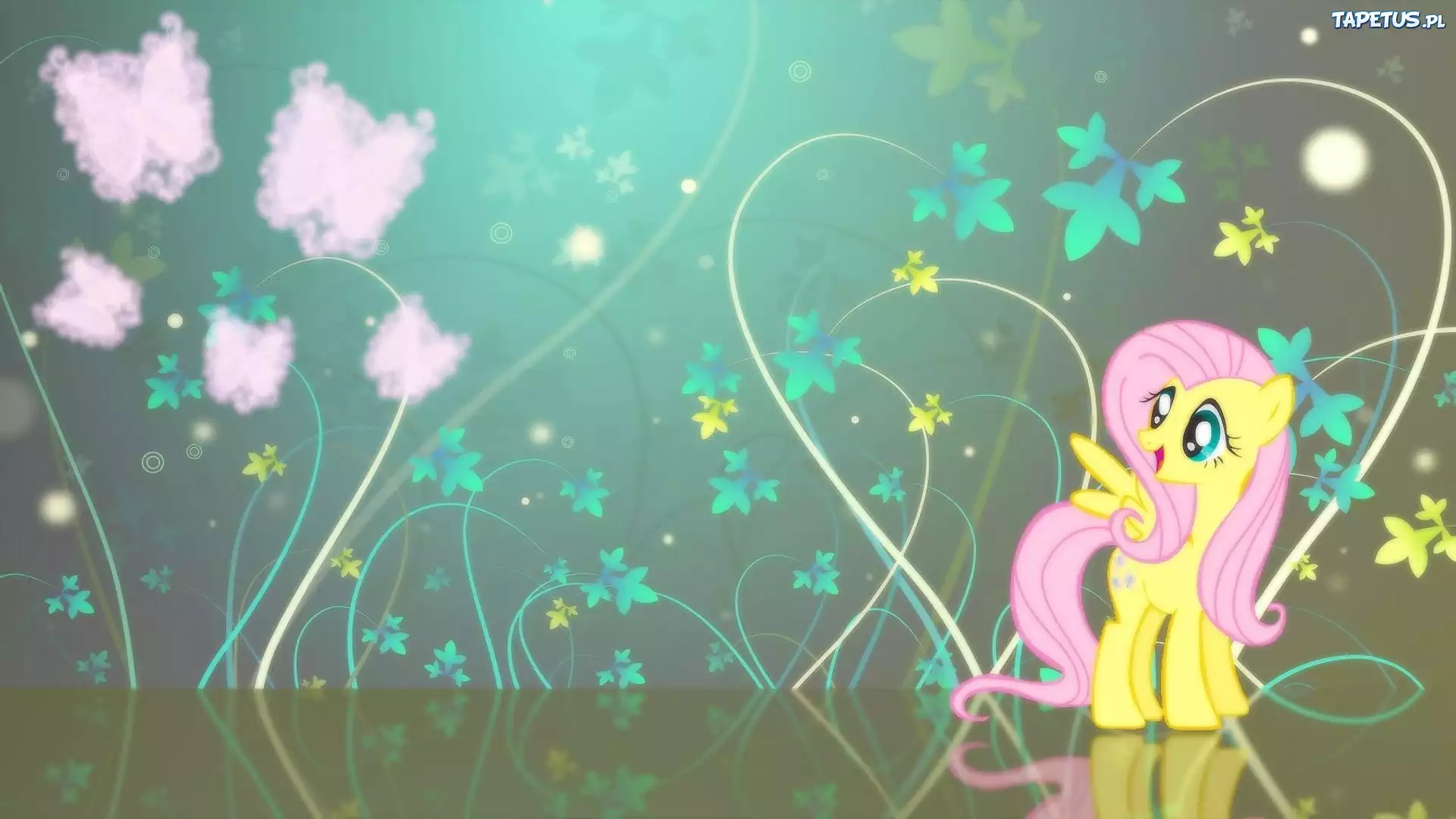 My Little Pony, Fluttershy