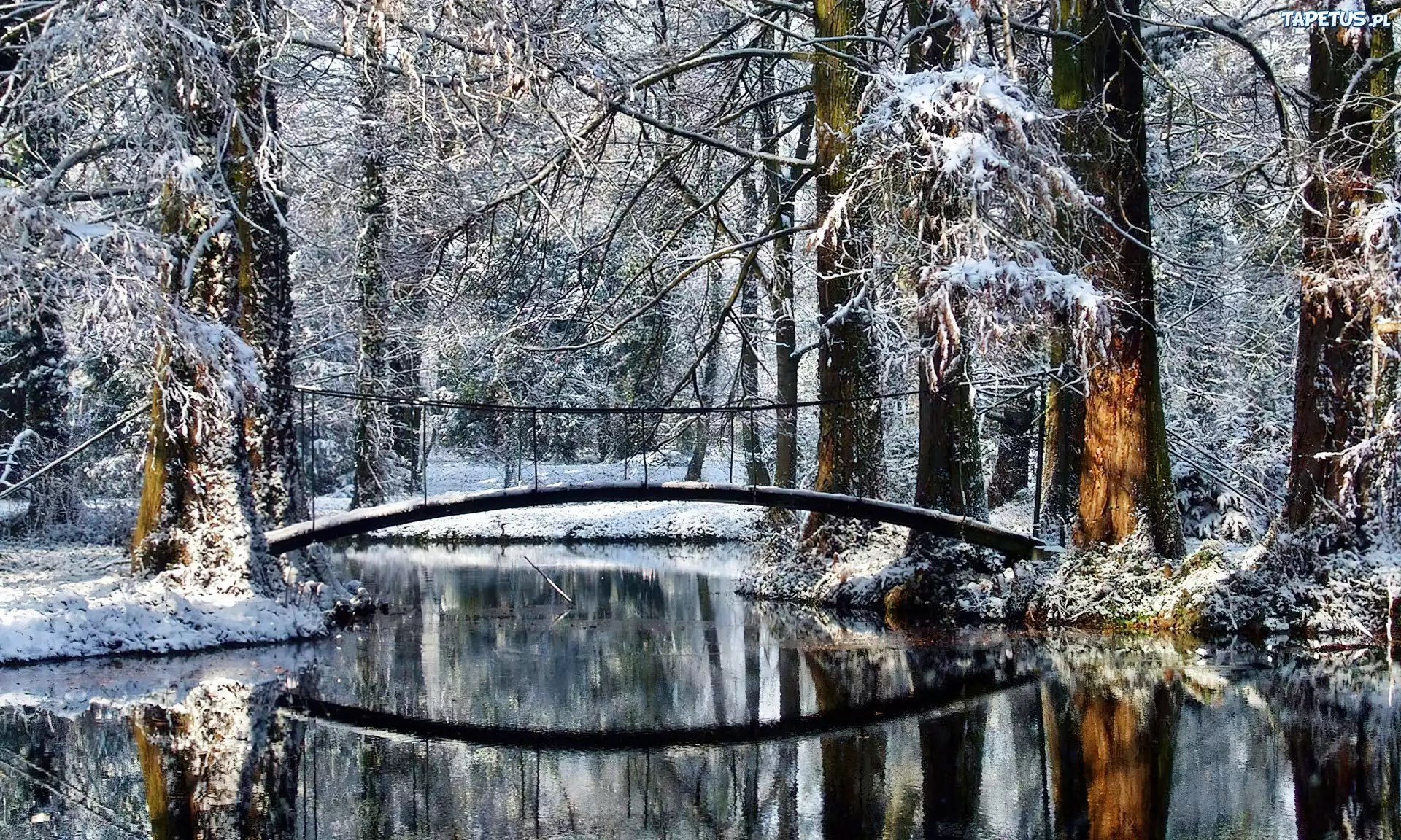 Zima, Las, Rzeczka, Mostek