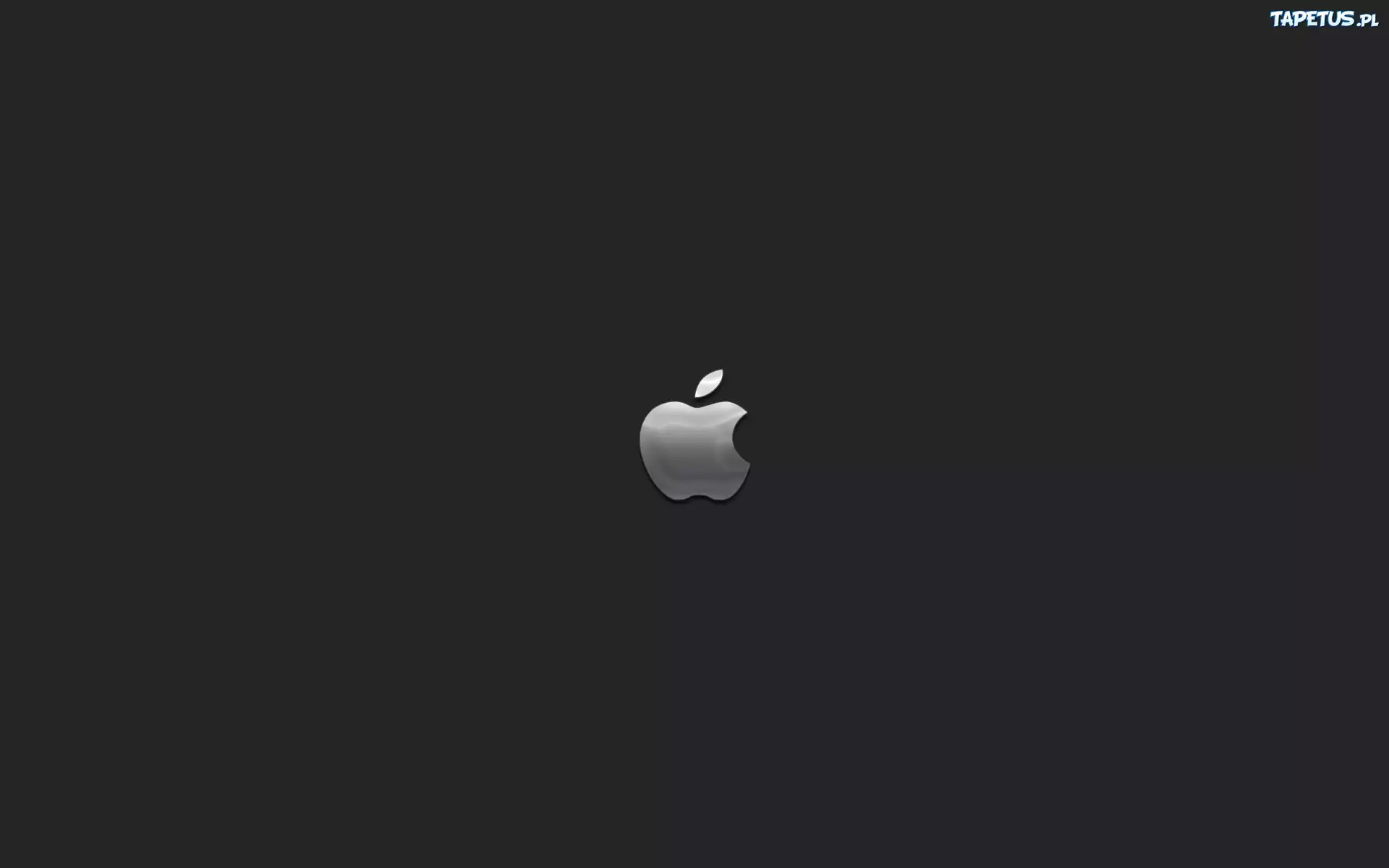Apple, Stalowoszare, Logo