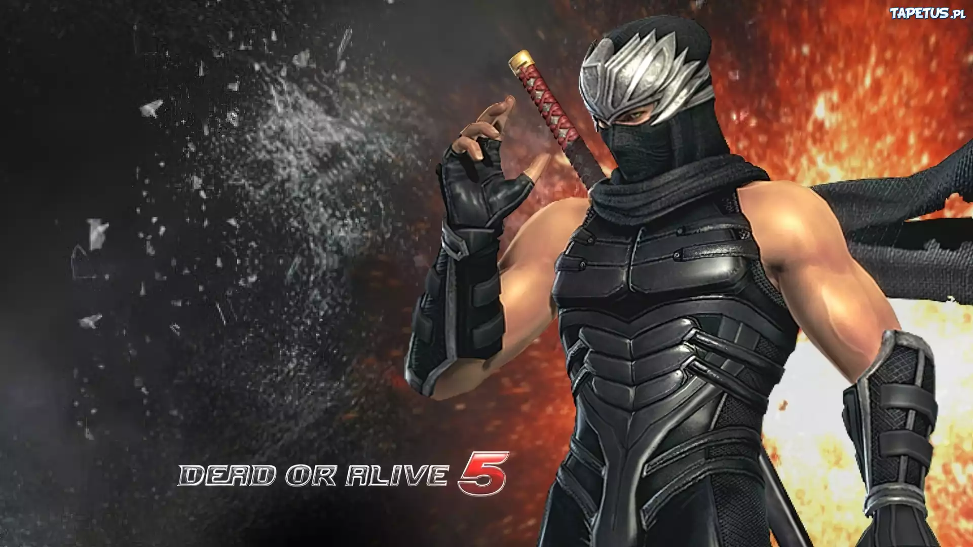Dead Of Alive 5, Ryu Hayabusa