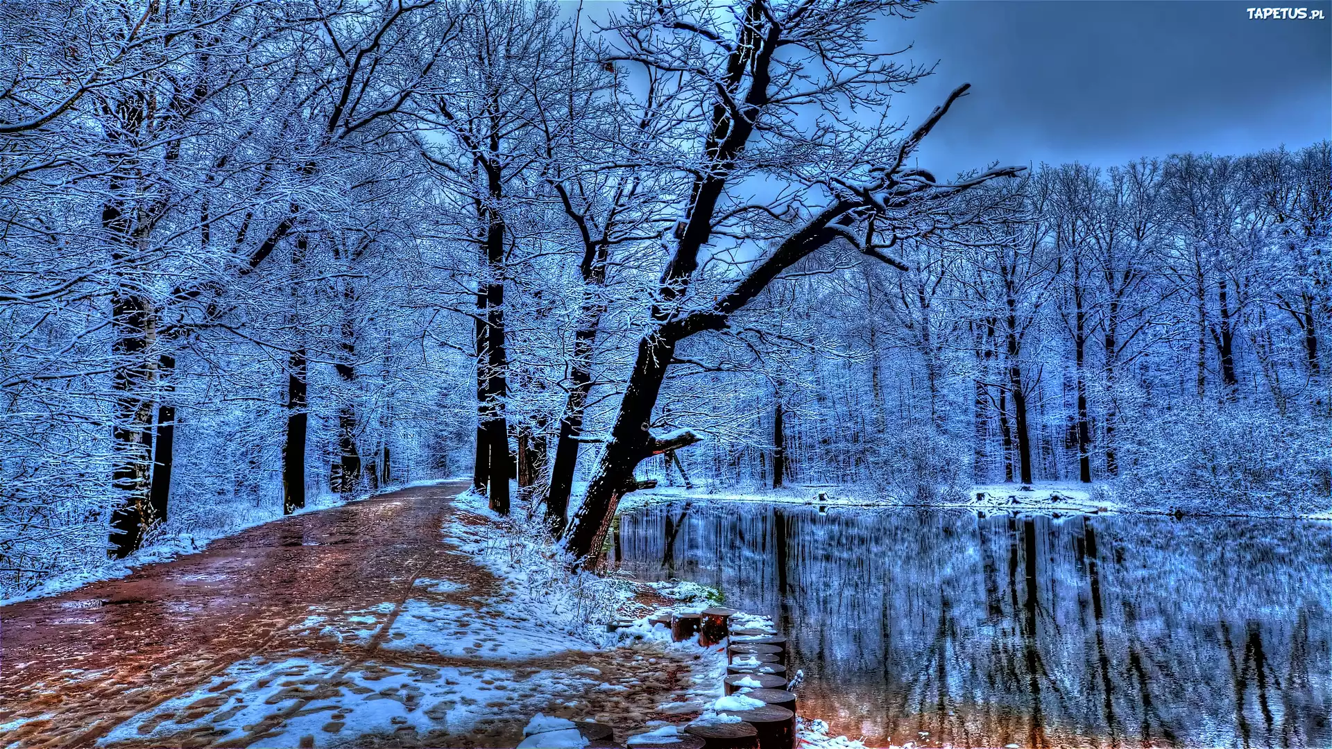 Park, Droga, Rzeka, Zima