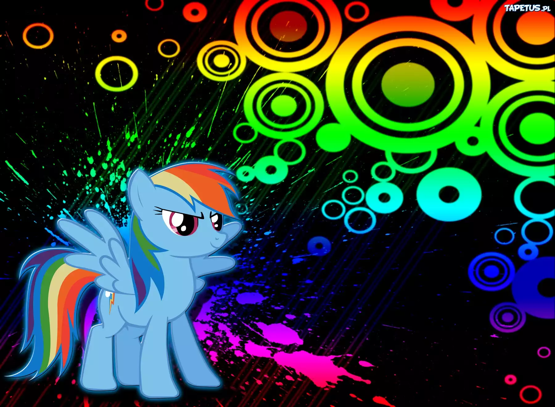 My Little Pony, Przyjaźń To Magia, RainBow Dash