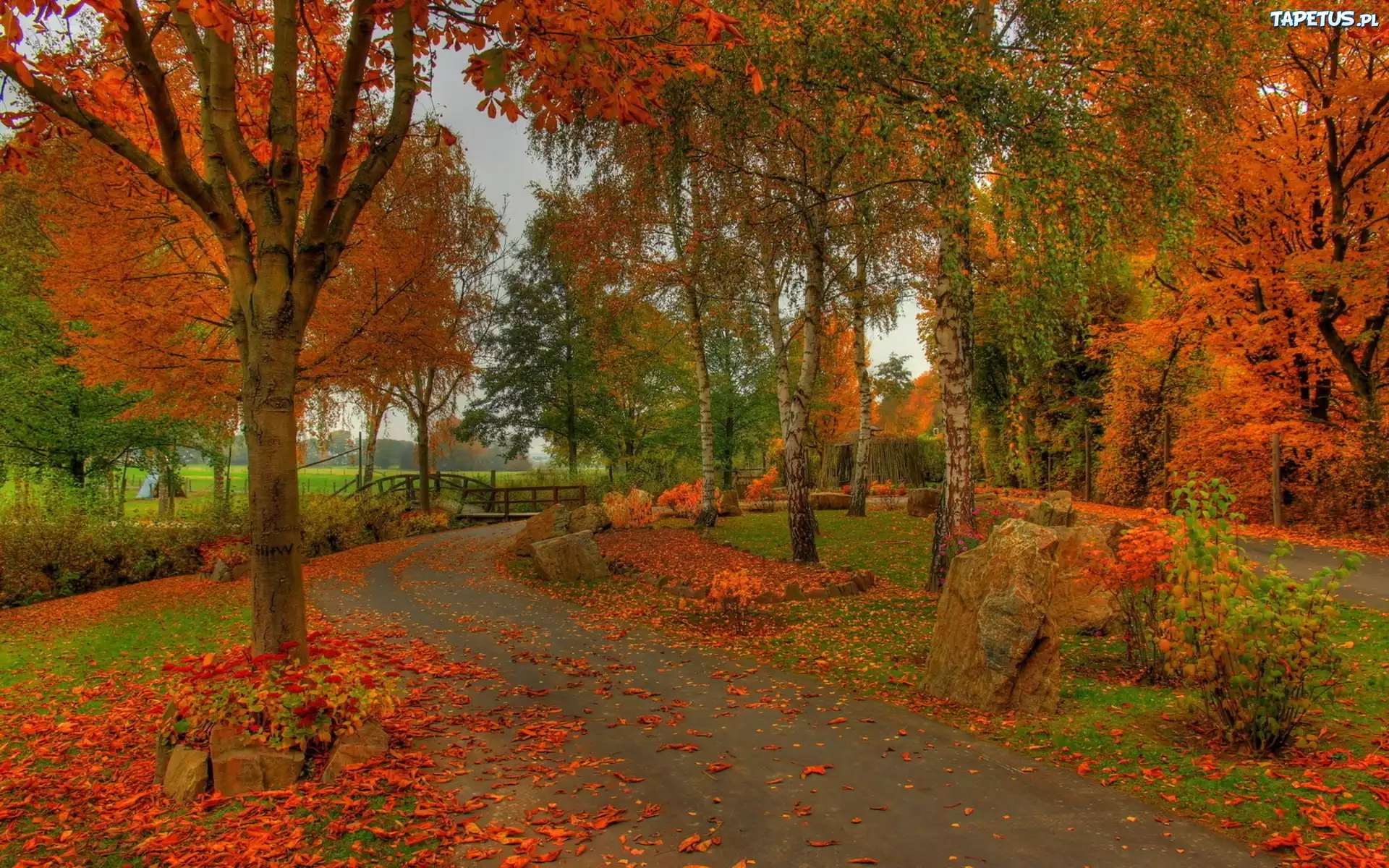 Park, Rzeka, Mostek, Aleja, Liście, Jesień