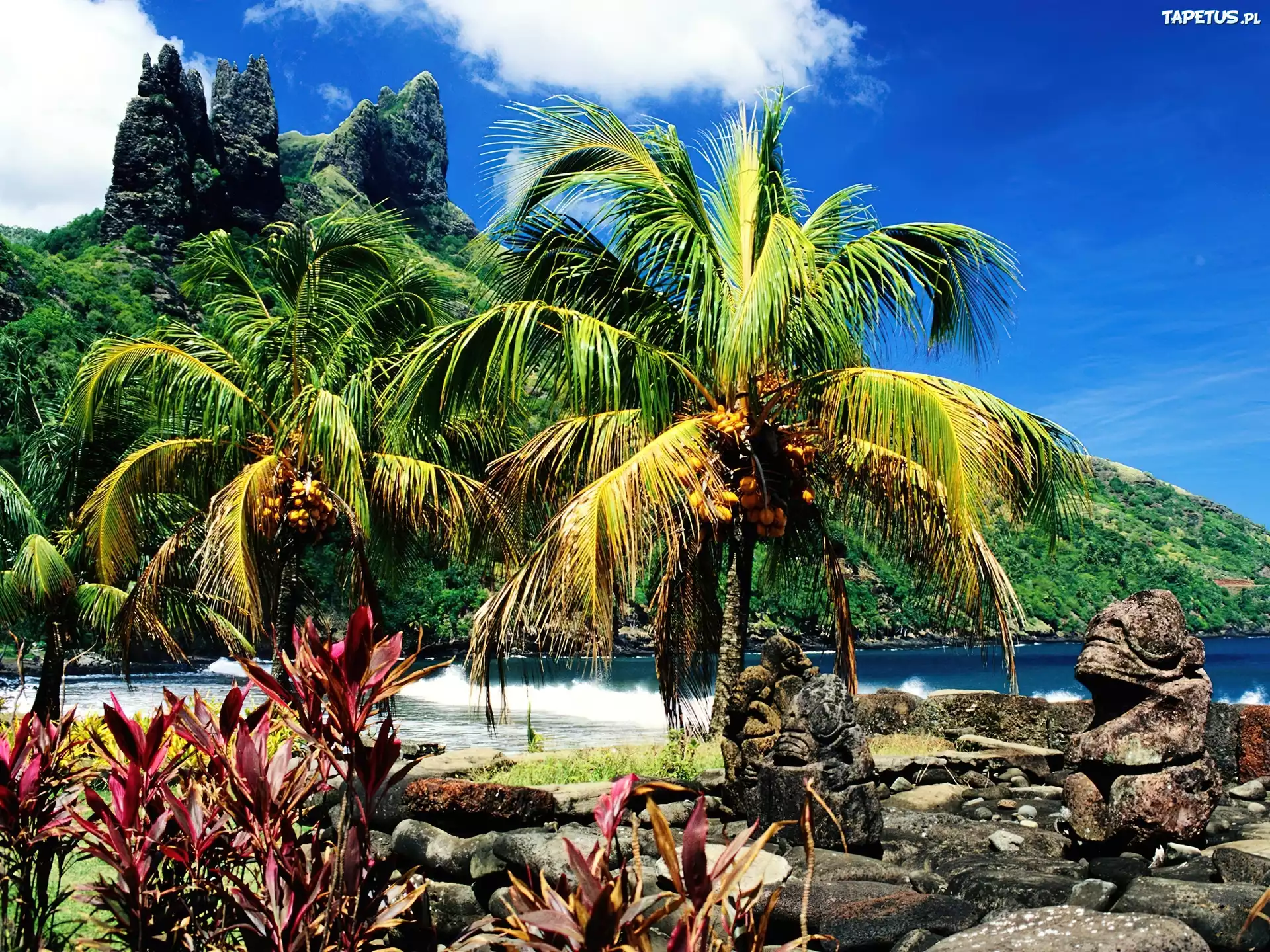 Экзотическая природа. Остров Нуку-Хива. Таити джунгли. Природа тропиков. Тропический остров.