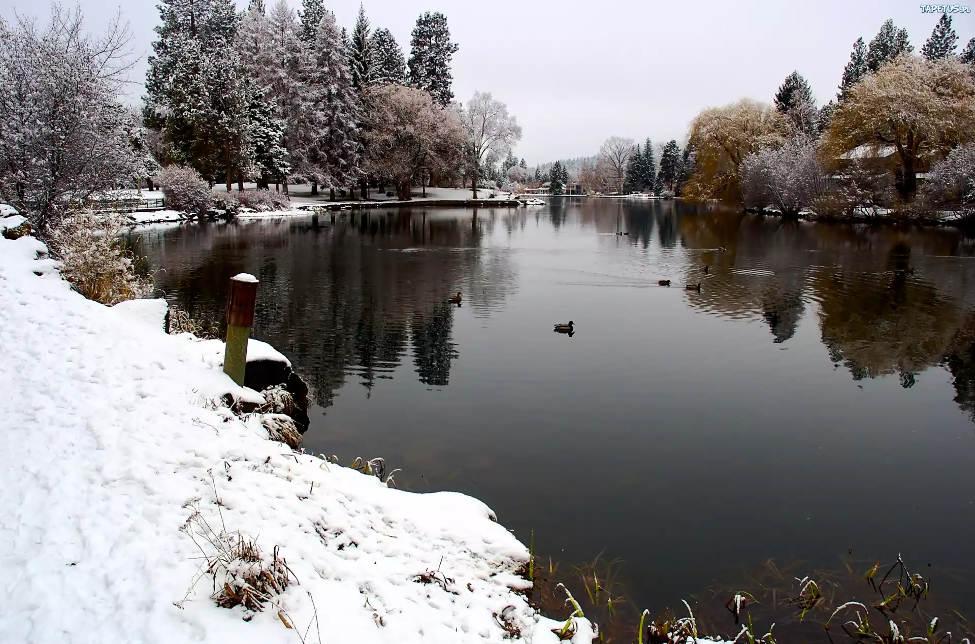 Zima, Jeziorko, Park, Drake, Oregon