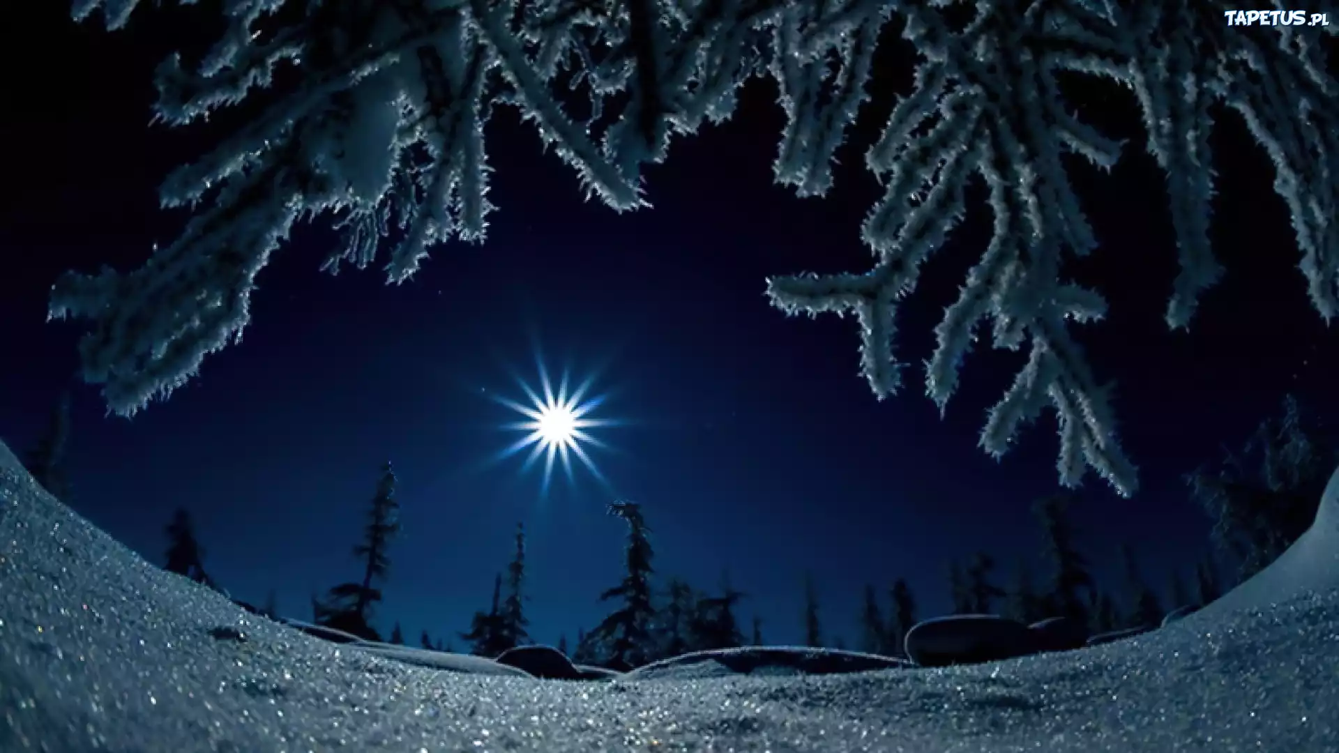 зима снег ночь луна сияние бесплатно