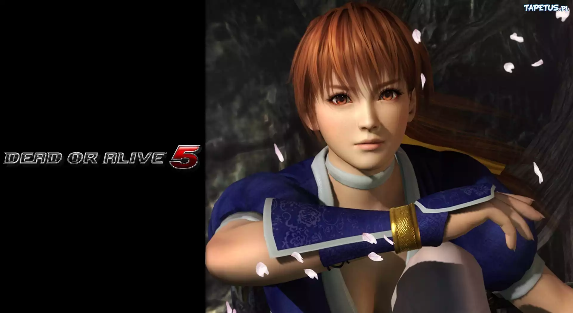 Dead Of Alive 5, Kasumi