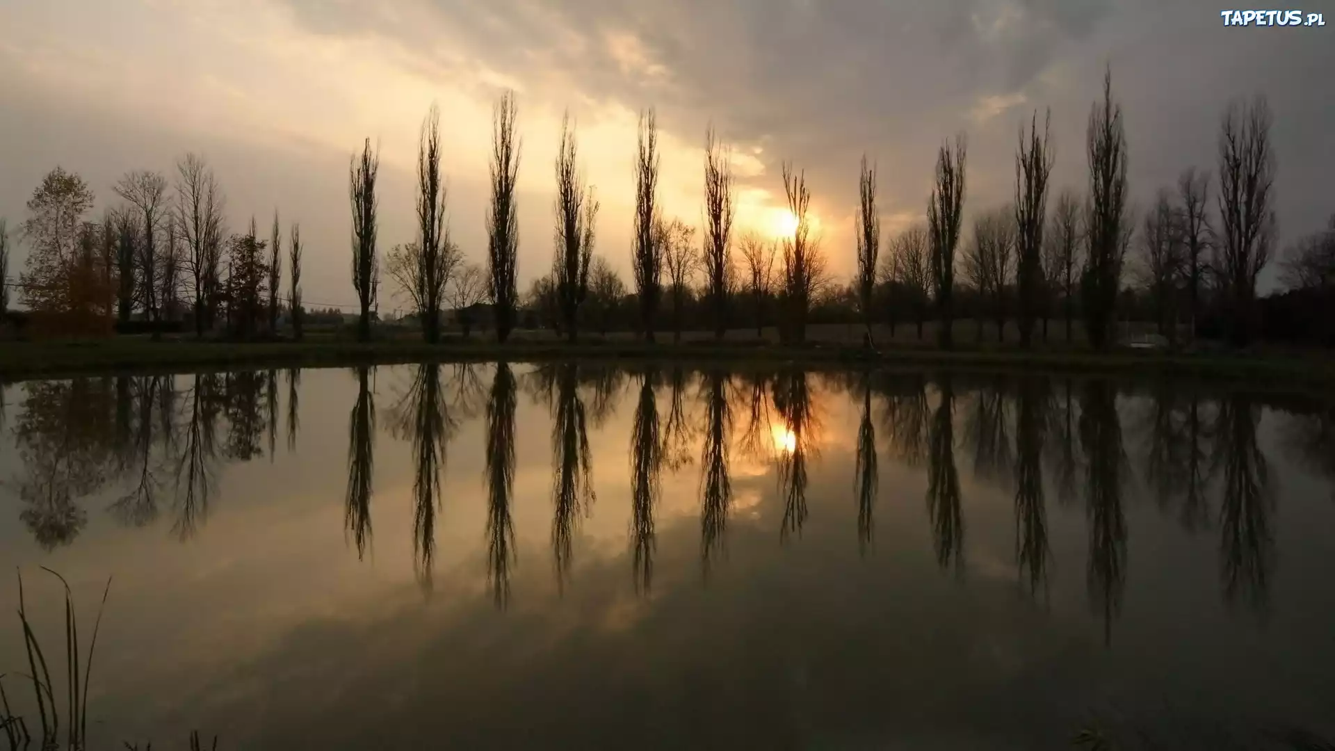 Chmury, Drzewa, Jezioro, Odbicie