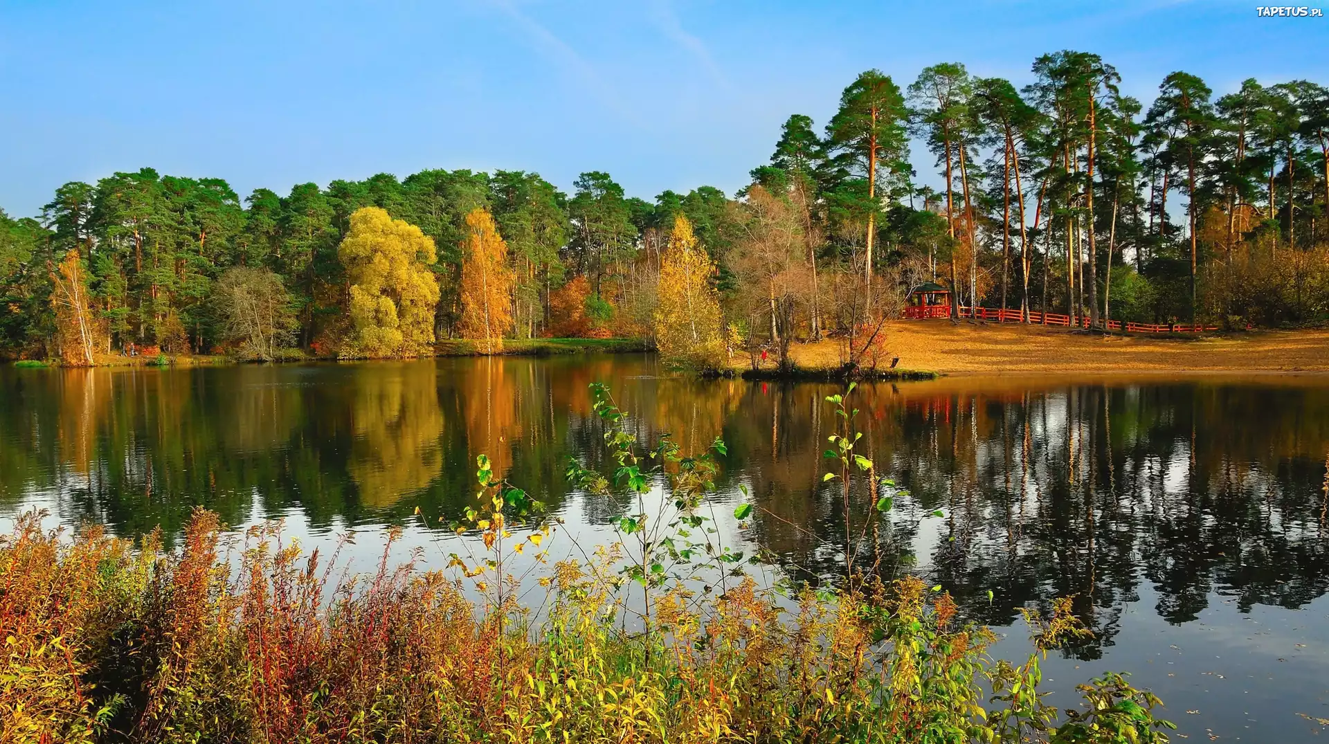 Jesień, Jezioro, Park