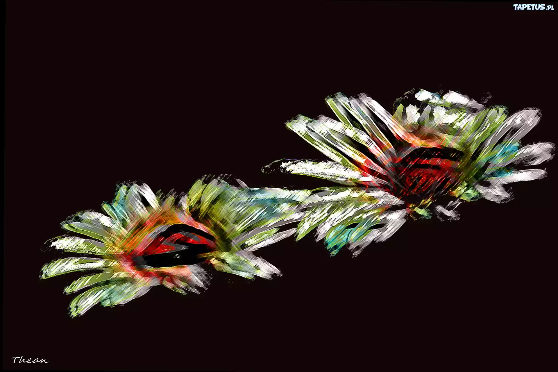Kwiaty, Fractalius