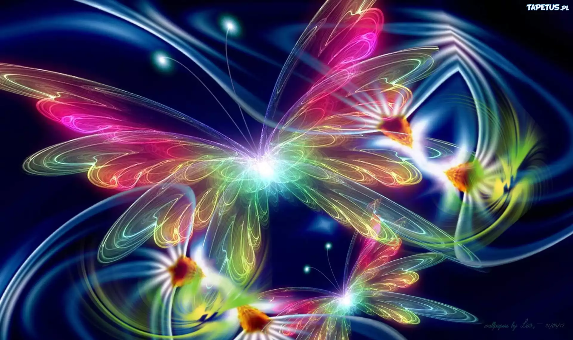 Grafika, Poświata, Motyl, Kwiaty, Fractalius