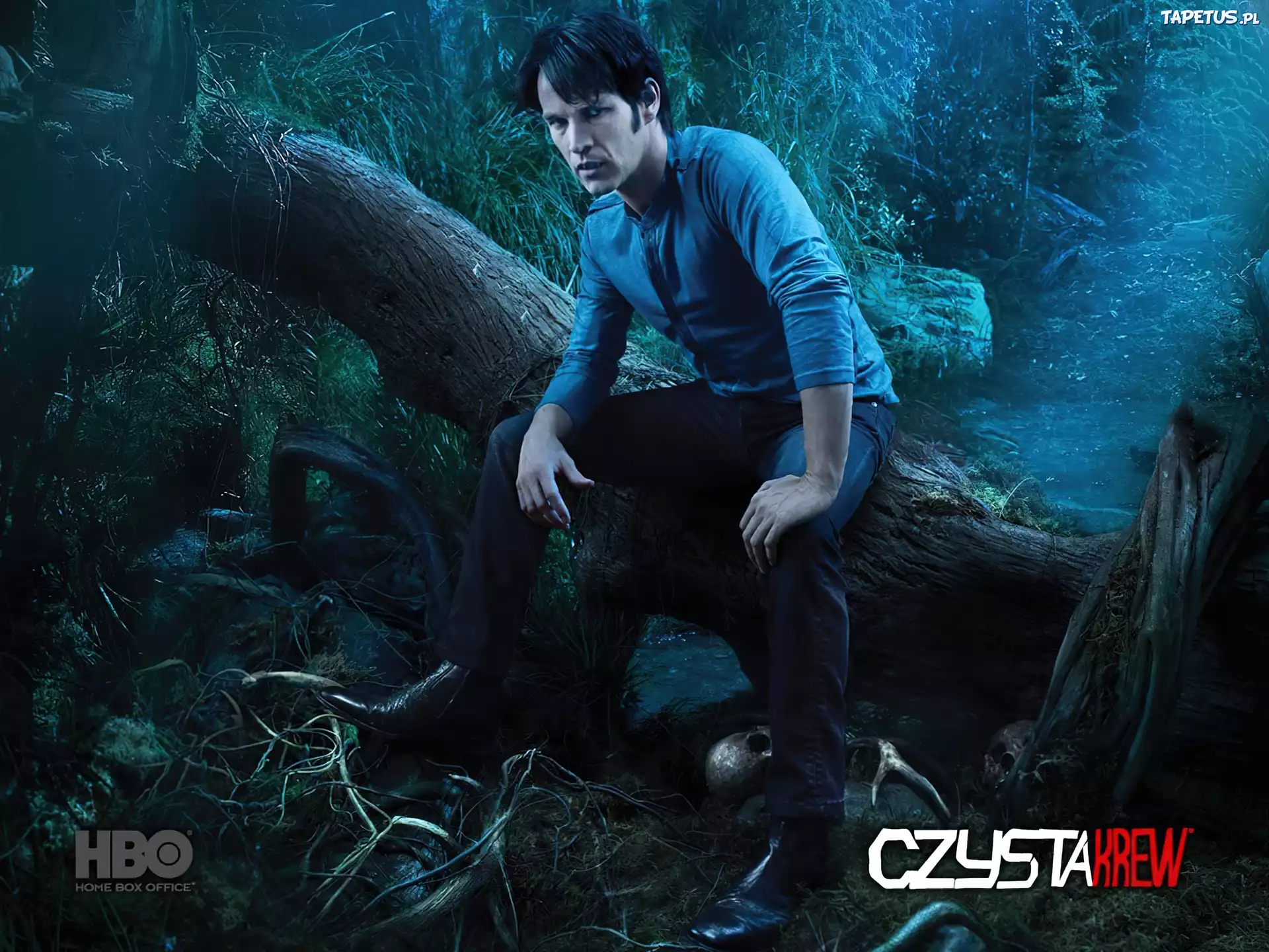 Stephen Moyer