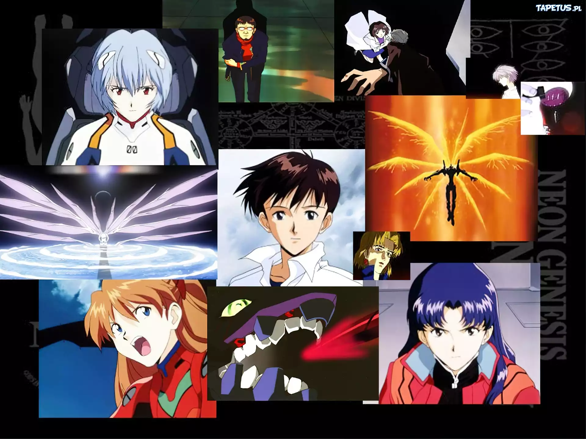 Neon Genesis Evangelion, ludzie, plakat