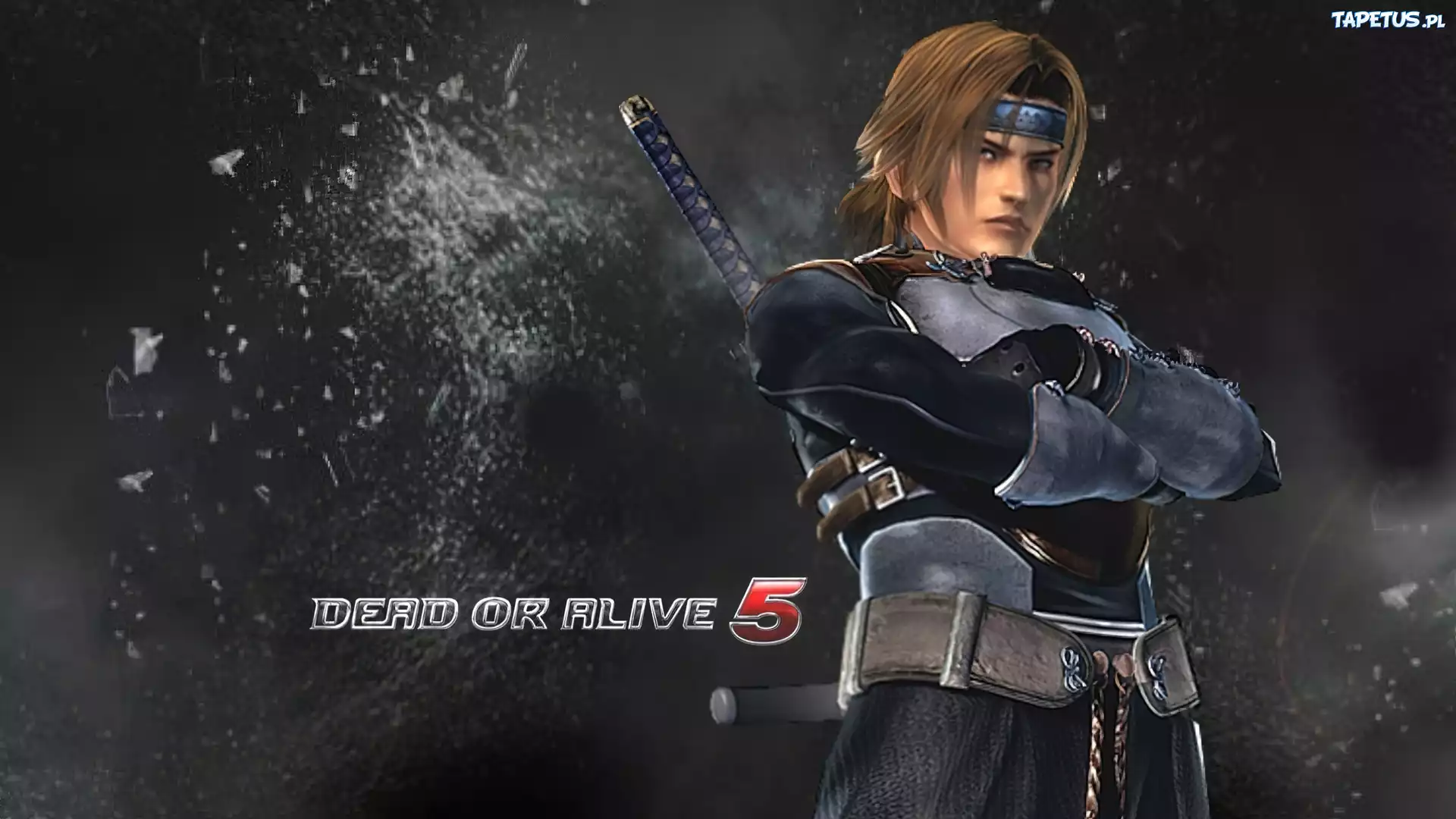 Dead Of Alive 5, Hayate