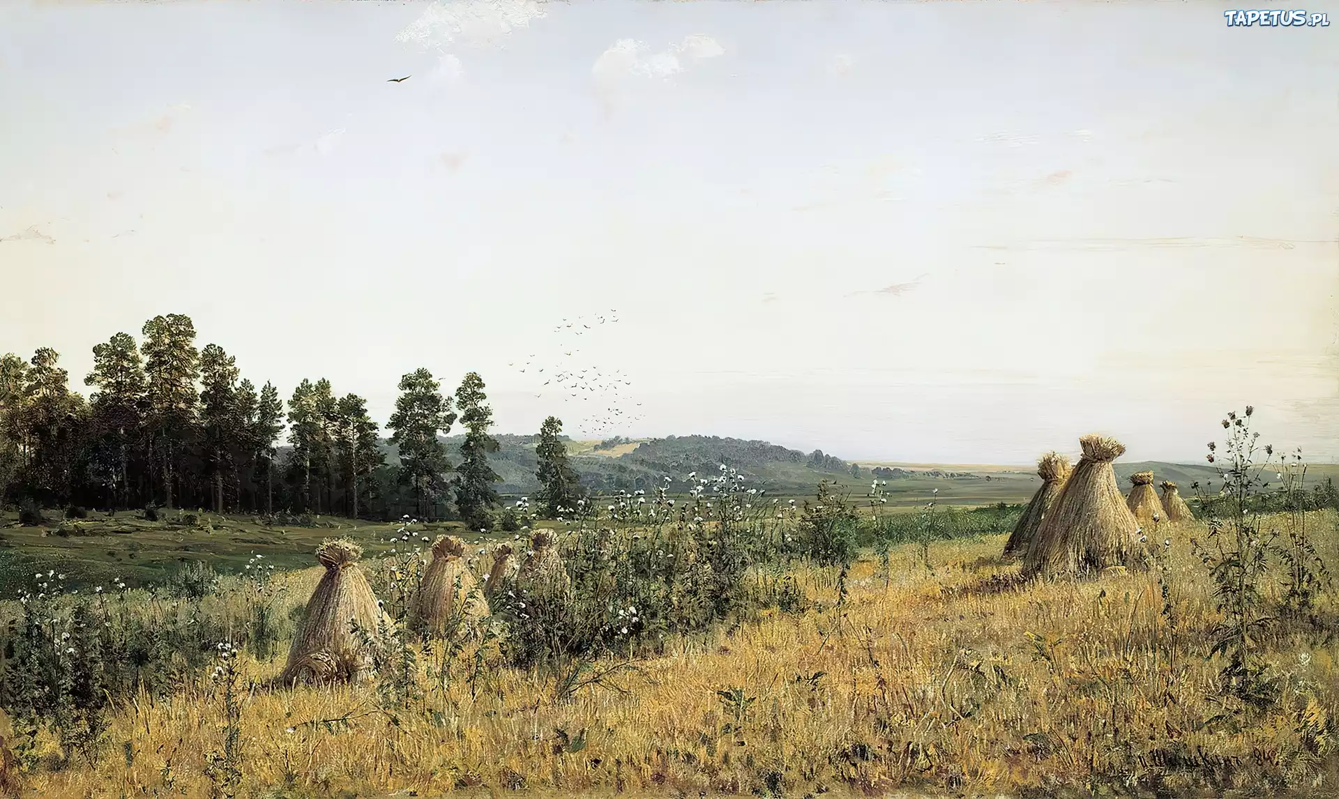 Lato, Żniwa, Reprodukcja, Iwan Szyszkin, Polesie