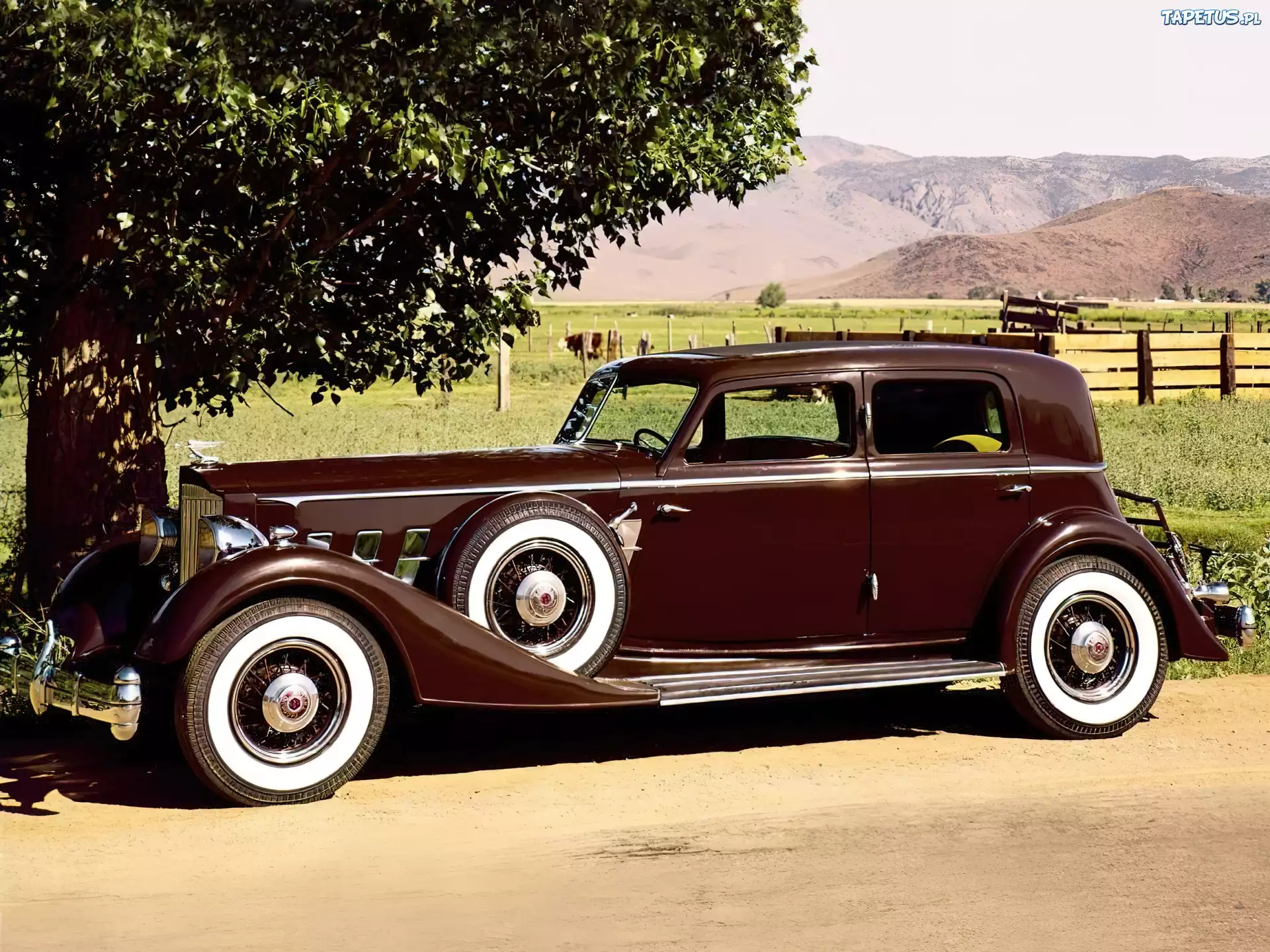 Samochód, Packard, Sedan 160 HP