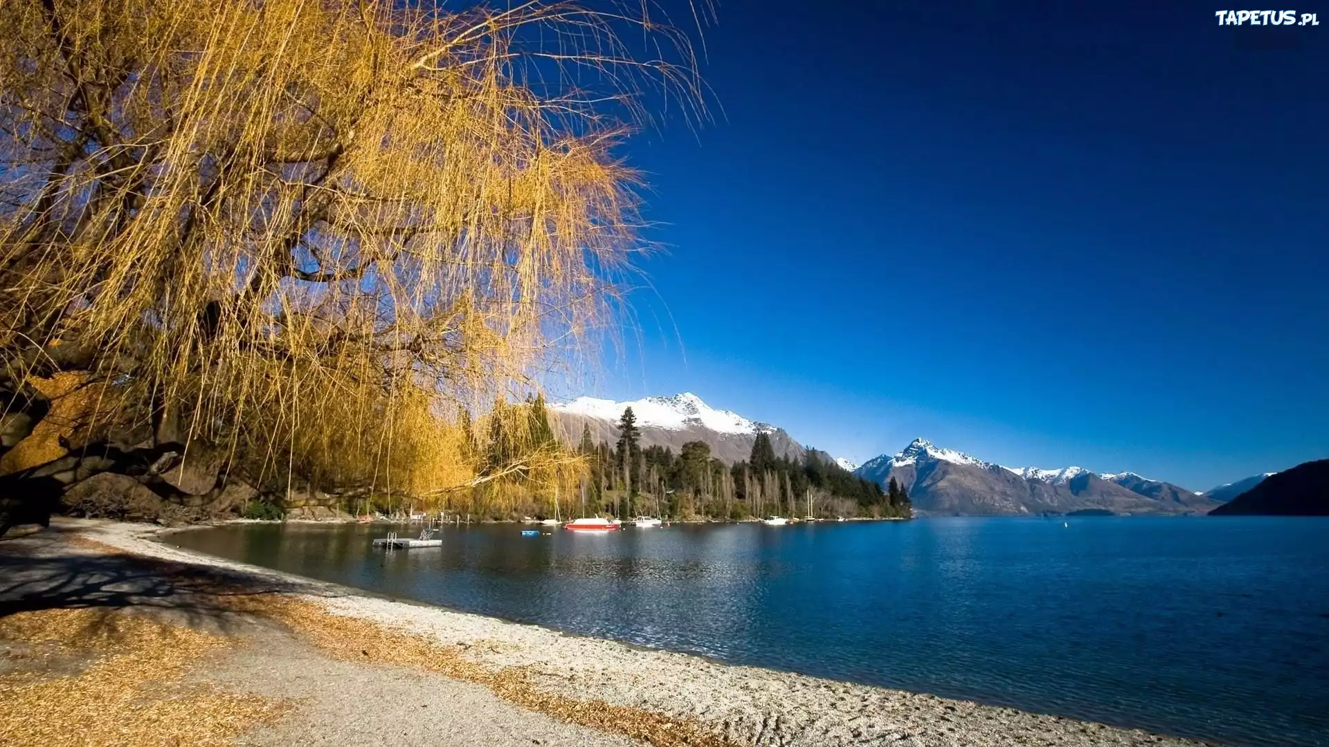 Jezioro, Plaża, Góry, Drzewa, Wakatipu, Nowa Zelandia