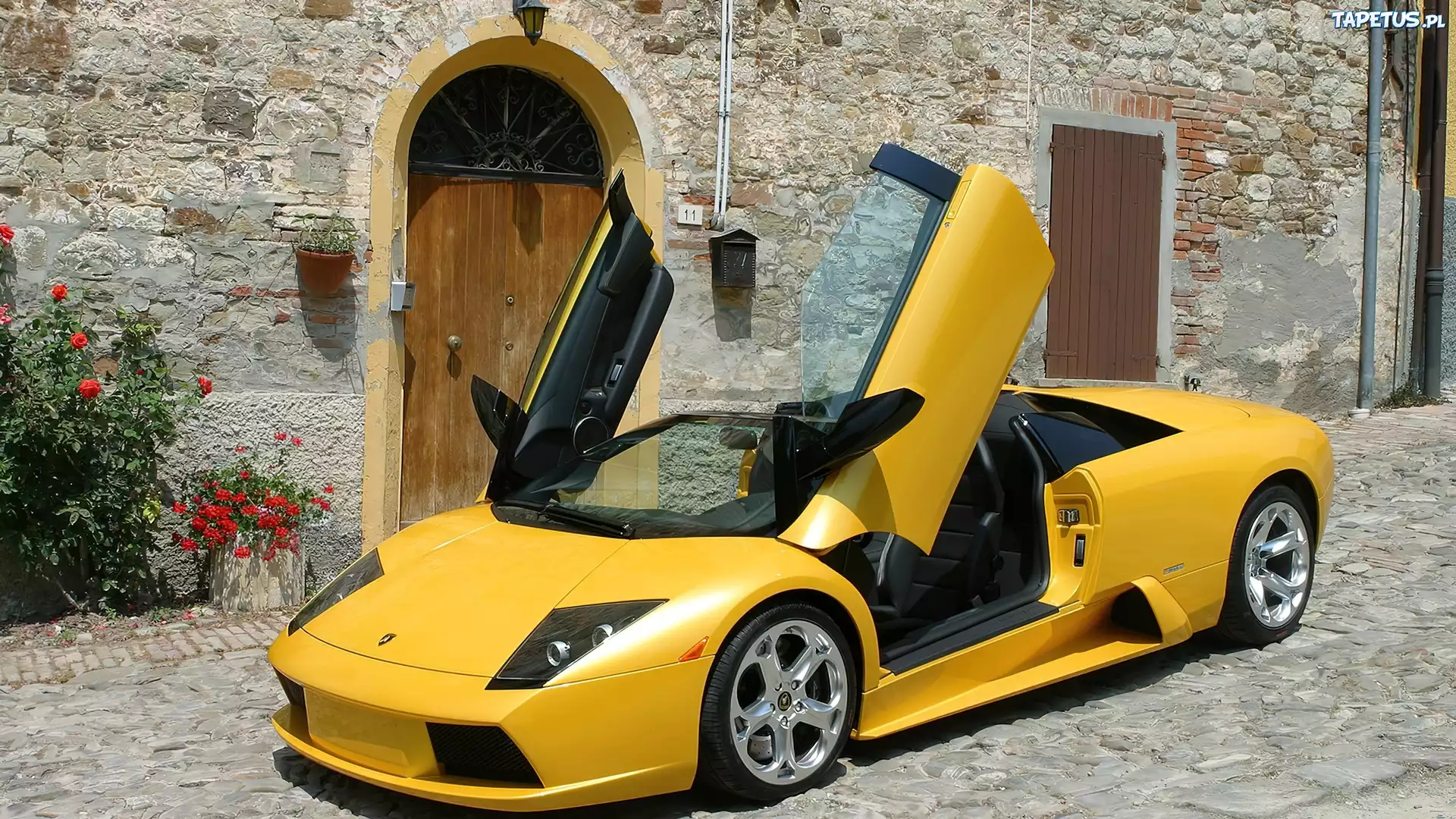 Lamborghini, Murcielago, Podniesione, Drzwi