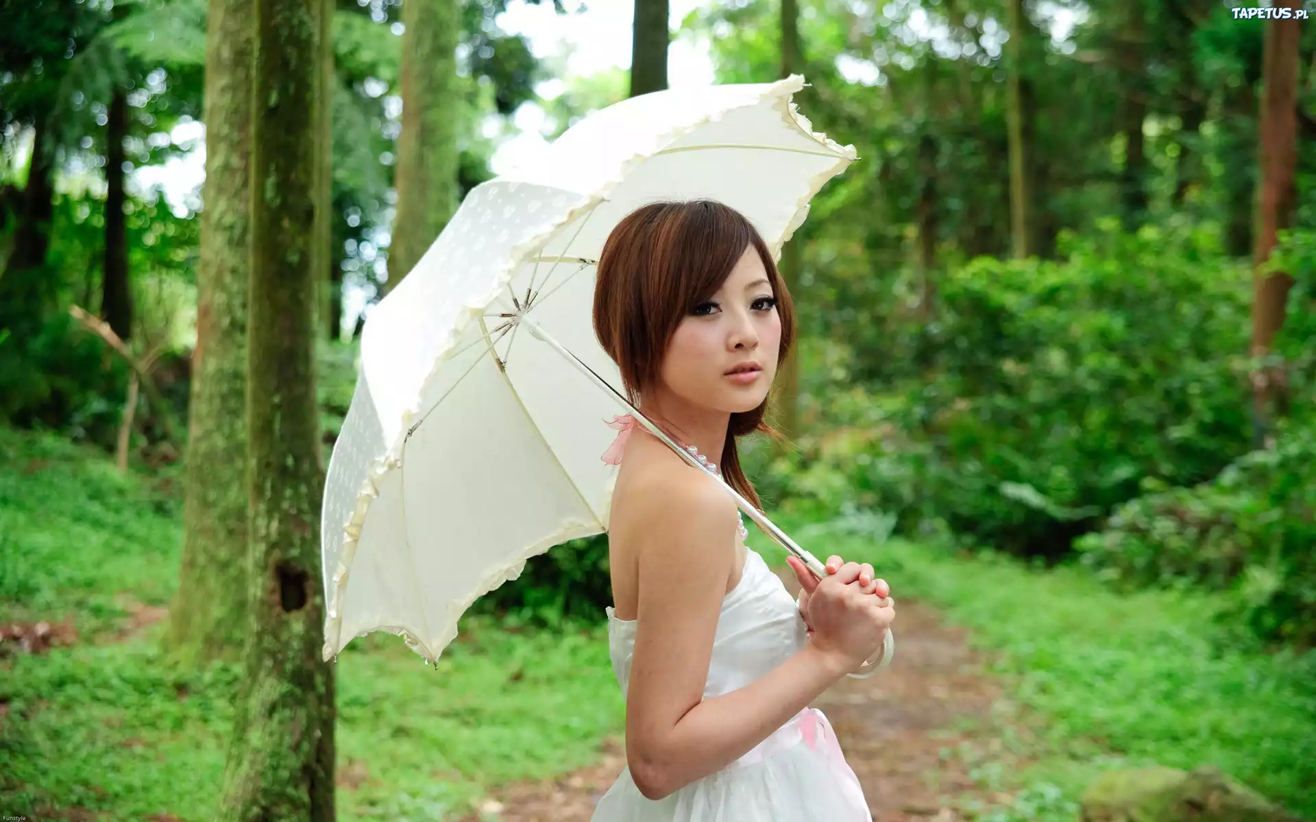 Kobieta, Parasol, Las