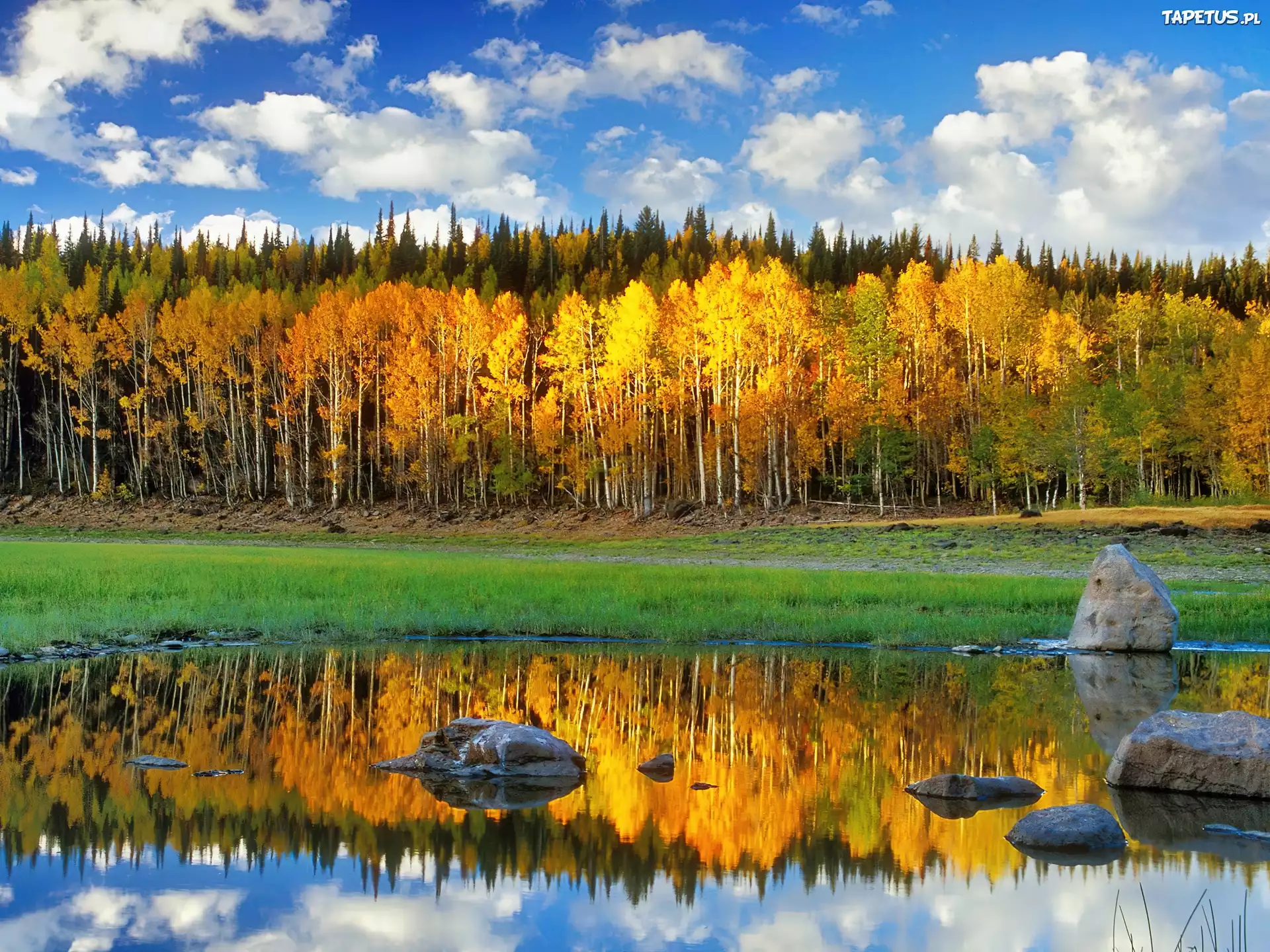Описание фотографии природа. Осень озеро. Пейзажи России. Осень в Сибири. Осенний пейзаж фото.