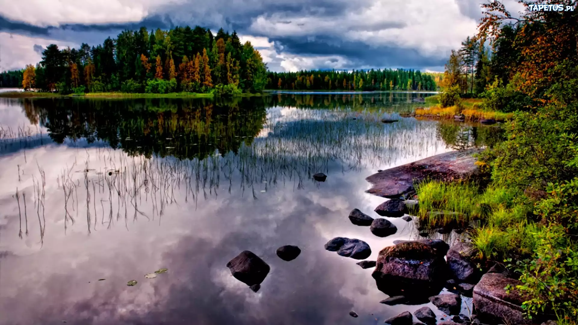 Lasy, Jezioro, Kamienie