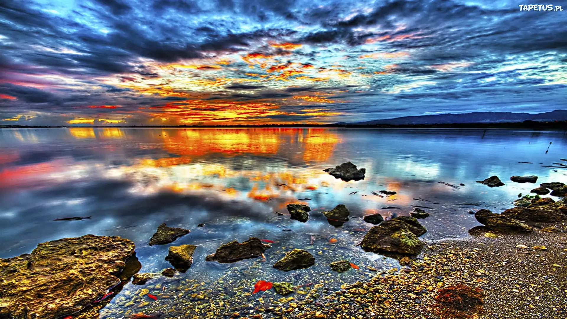 Jezioro, Wybrzeże