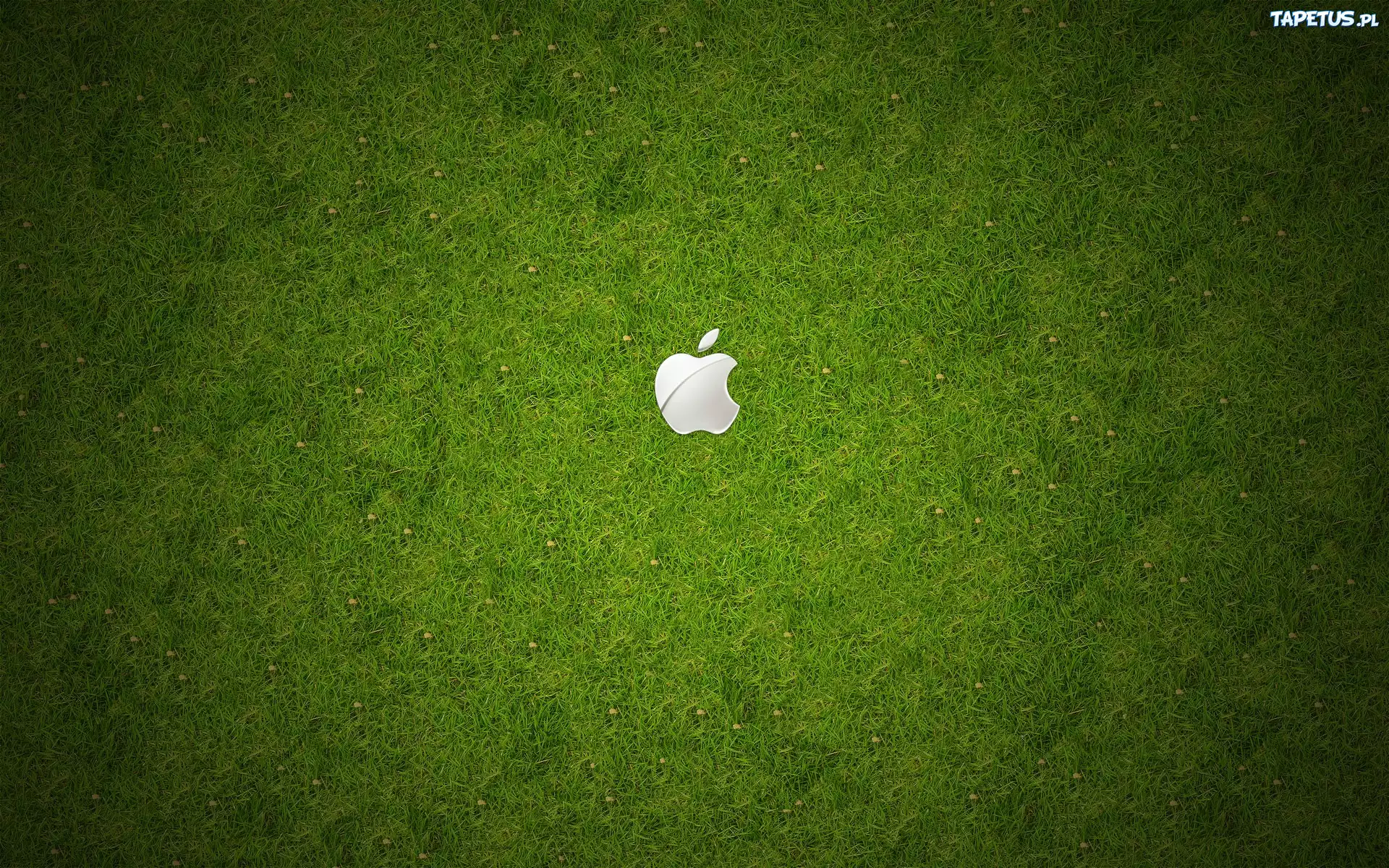 Apple, Logo, Łąka