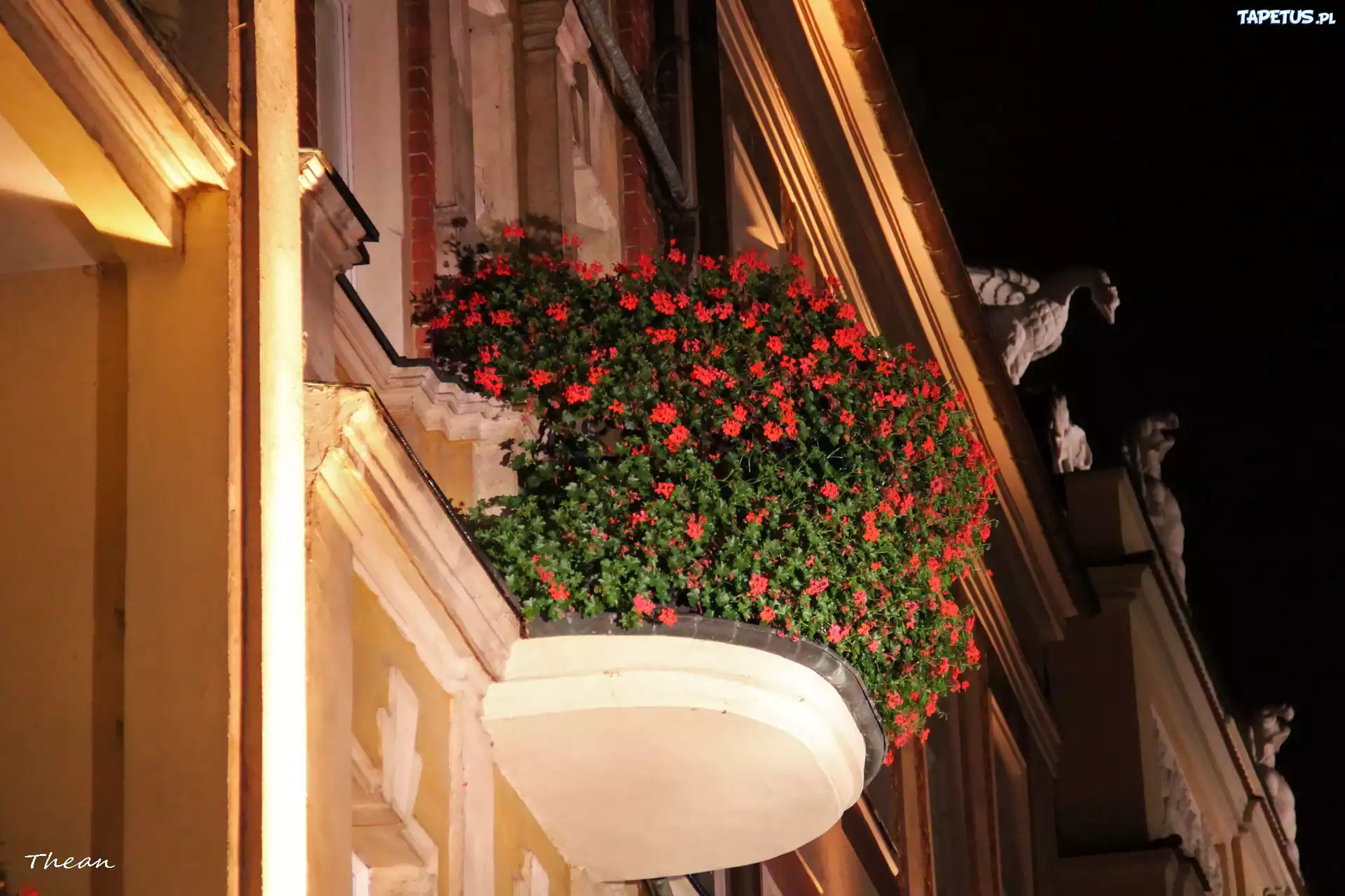 Ukwiecony, Balkon, Budynki, Noc, Poznań, Starówka
