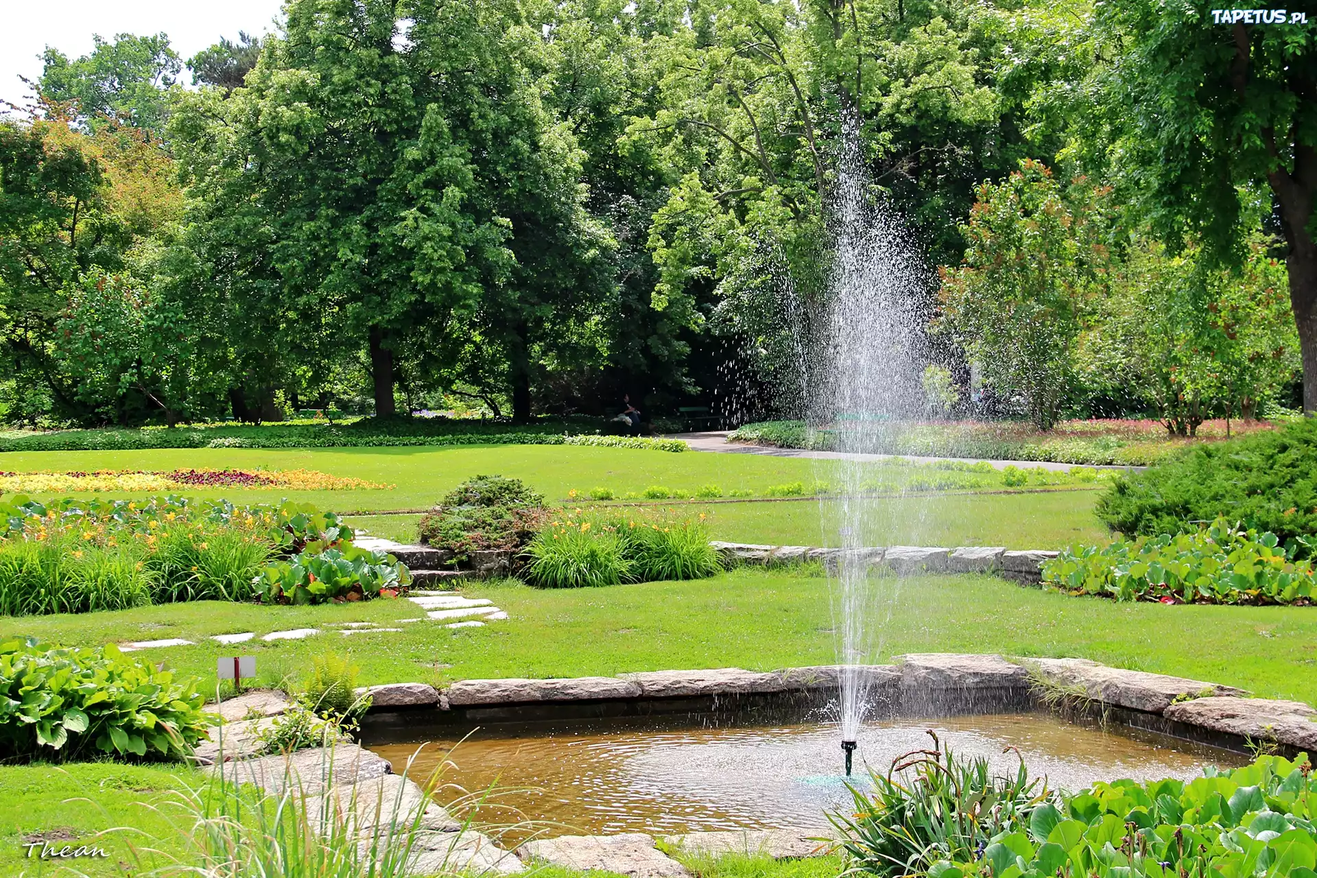 Ogród, Botaniczny, Poznań, Fontanna