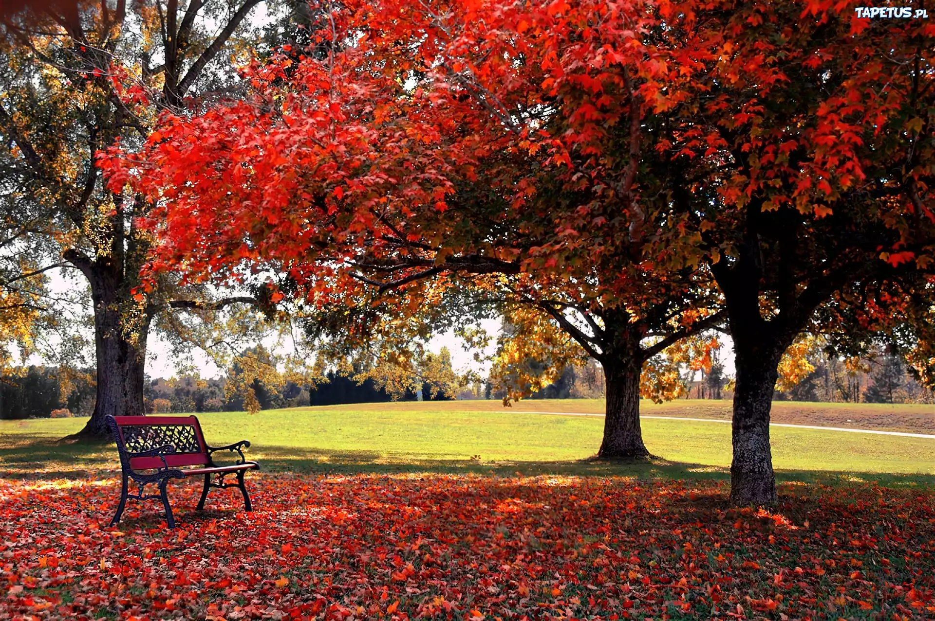 Jesień, Park, Ławeczka