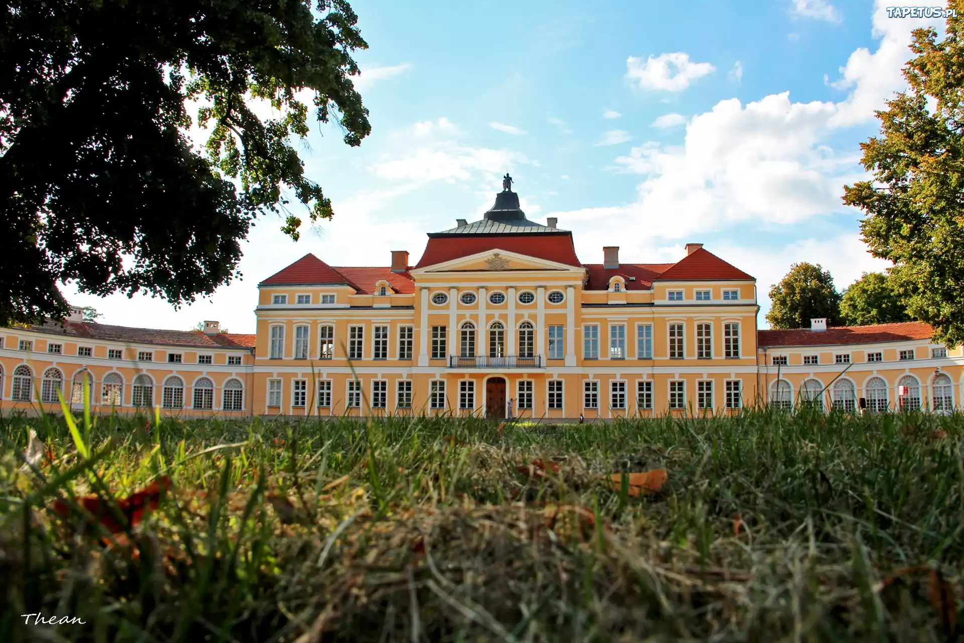 Pałac, W, Rogalinie