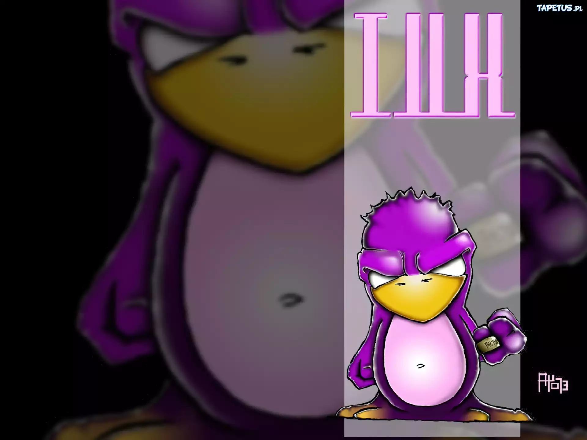 grafika, pingwin, Linux