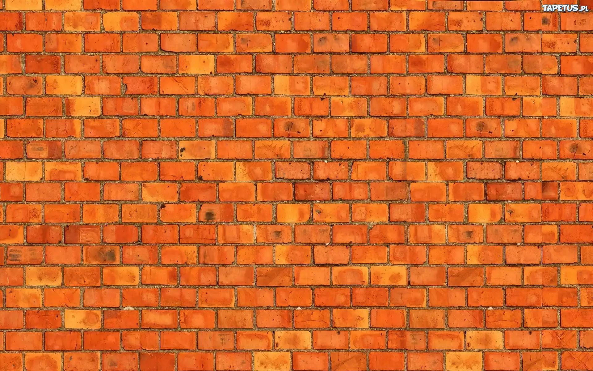 Cegła, Mur