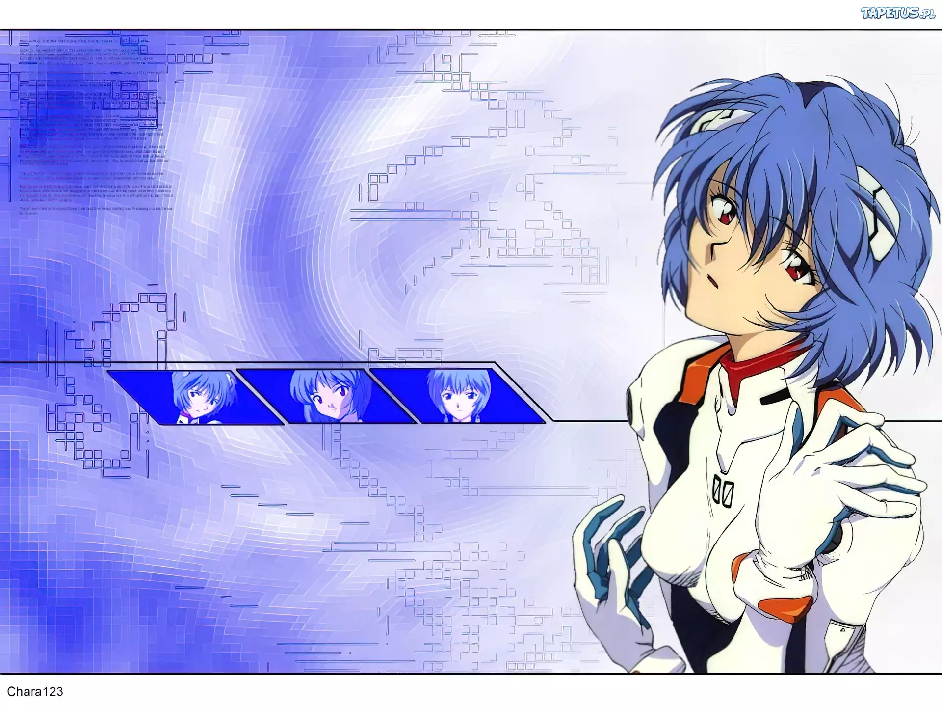 Neon Genesis Evangelion, kobieta, strój
