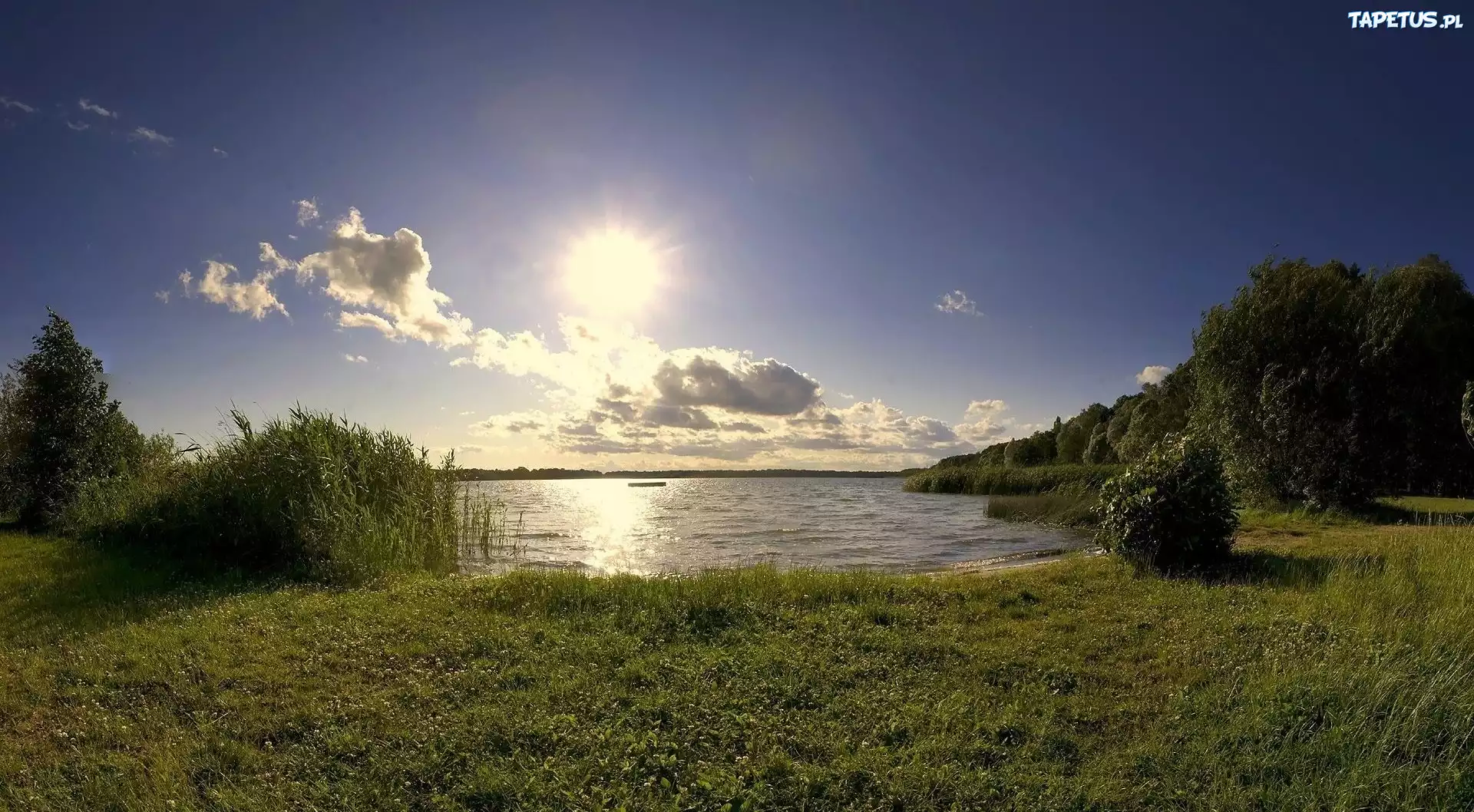 Jezioro, Drzewa, Trawa, Słońce, Chmury