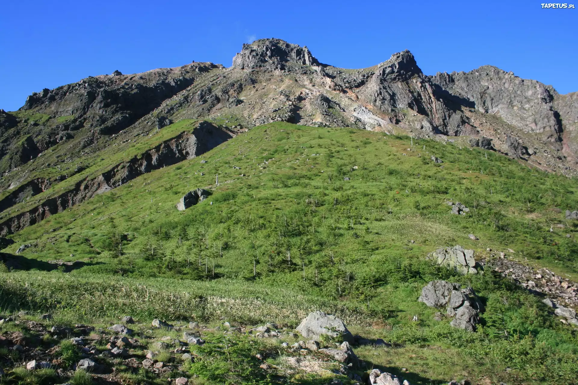 Góra, Drzewa, Skały