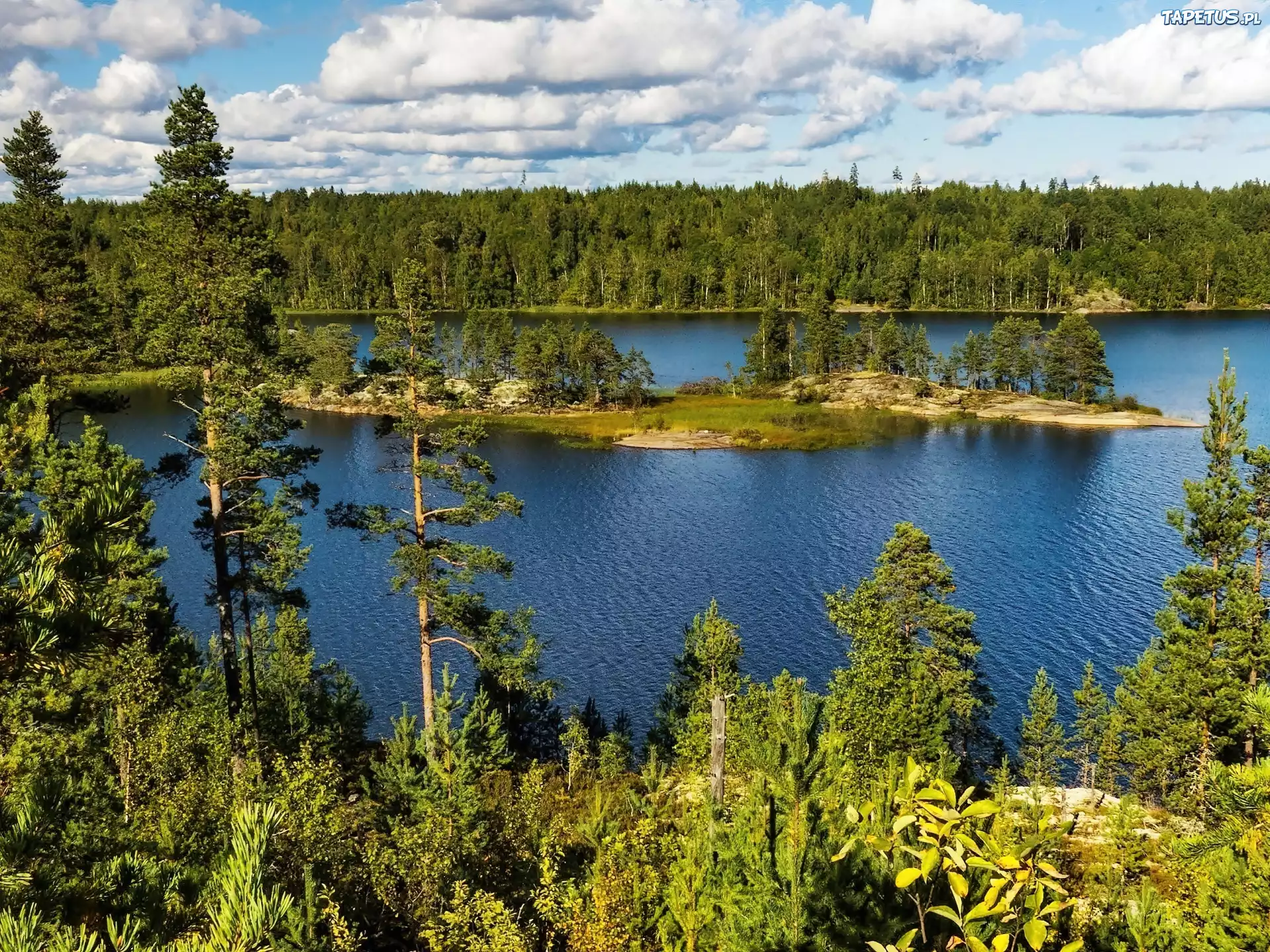 Lasy, Jezioro