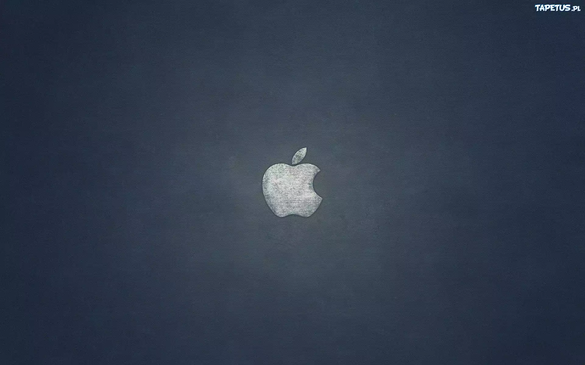 Apple, Logo, Szary, Metal