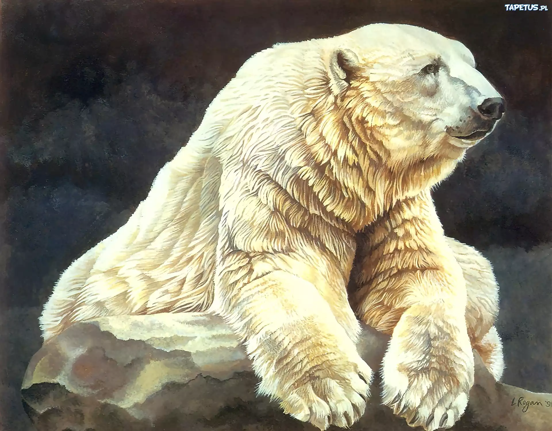 Niedźwiedź, Polarny, Malarstwo