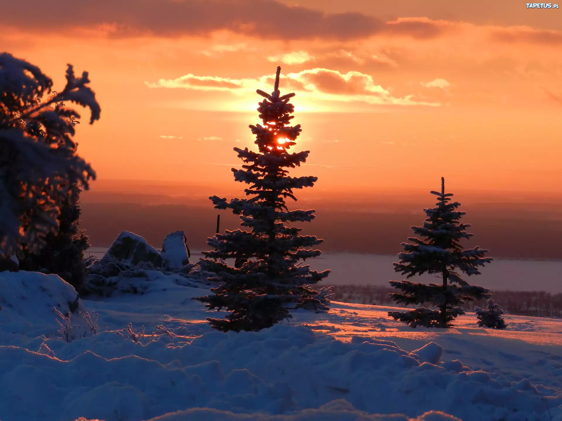 закат лучи снег ели sunset rays snow ate скачать