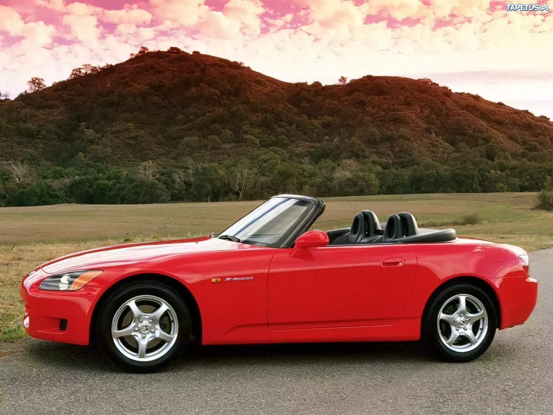 Honda S2000, Roadster