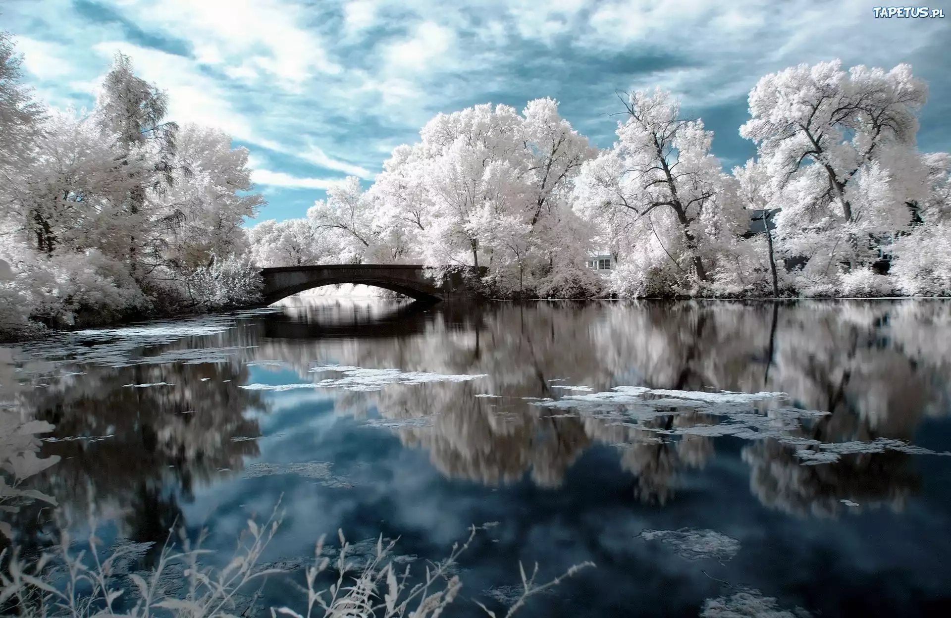 природа зима мост деревья без смс