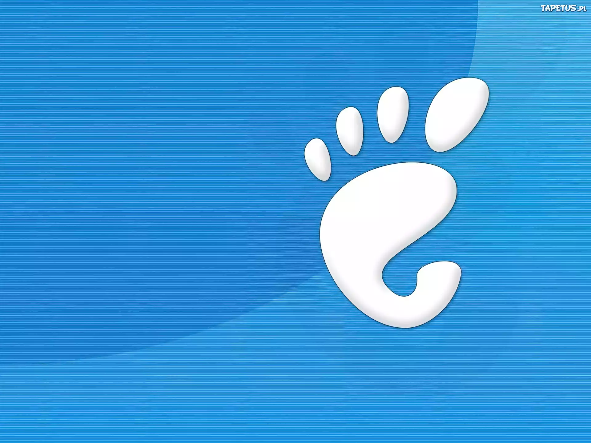 Gnome, stopa, grafika