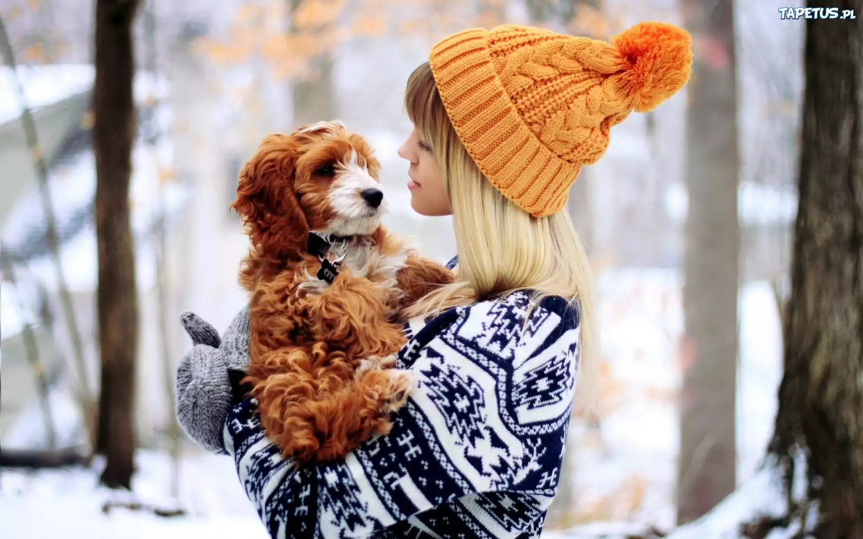 Dziewczynka, Las, Piesek, Bichon frise
