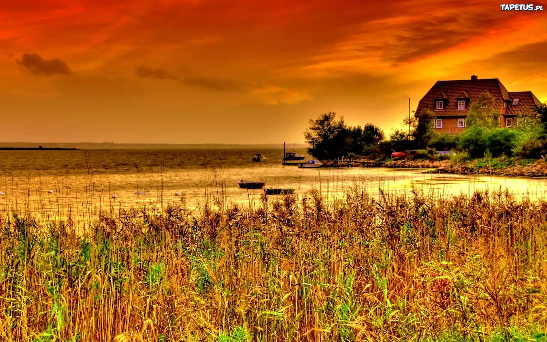 Zachód, Słońca, Jezioro, Trawa, Dom