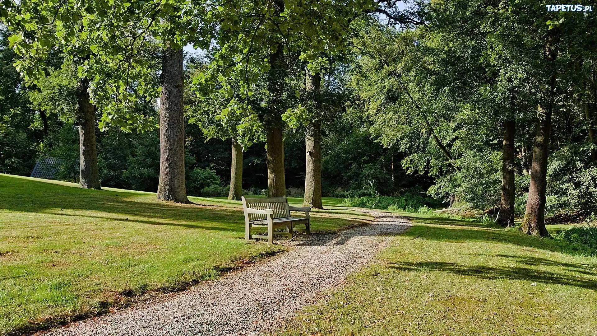 Park, Aleja, Ławka, Lato