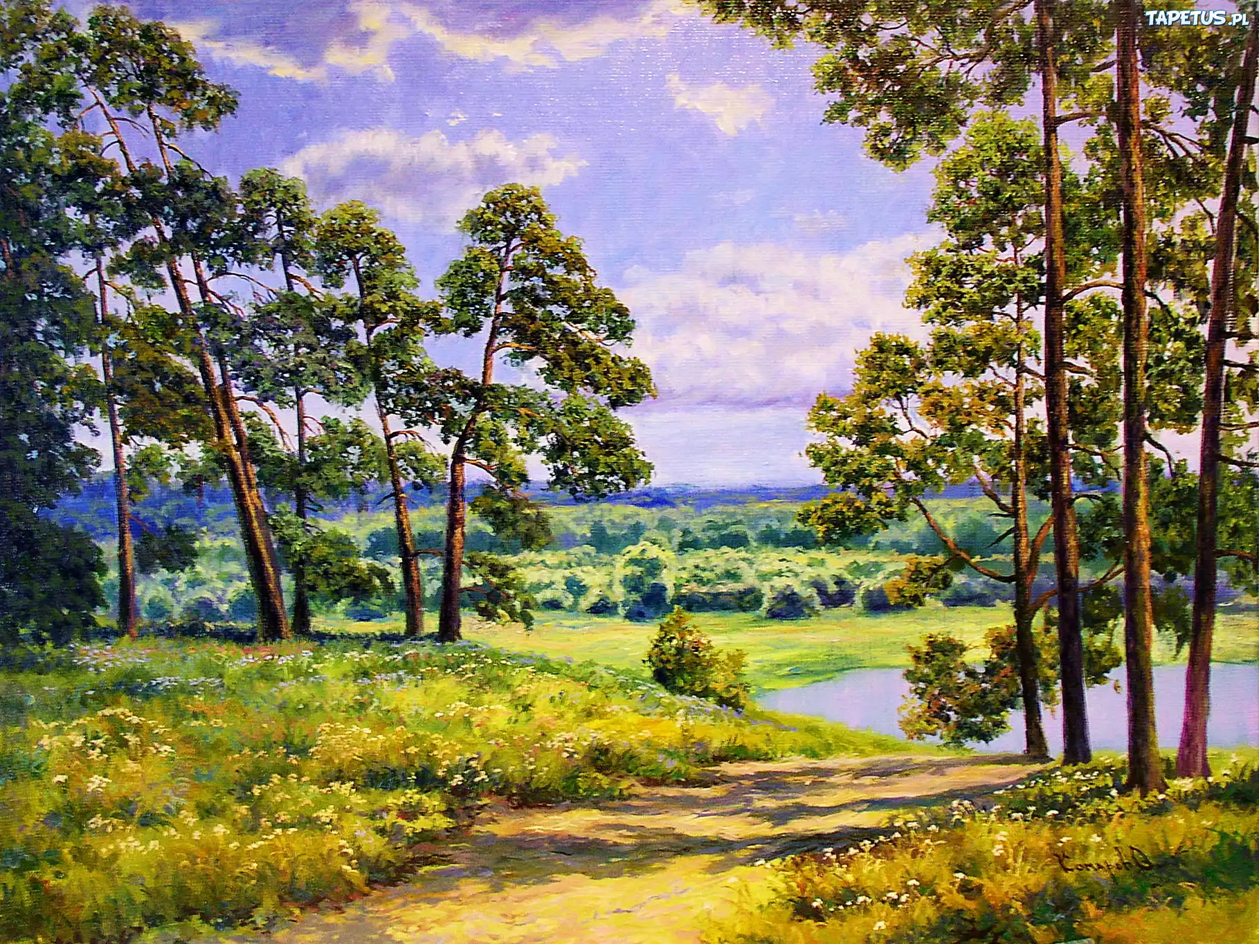 Leśna, Droga, Drzewa