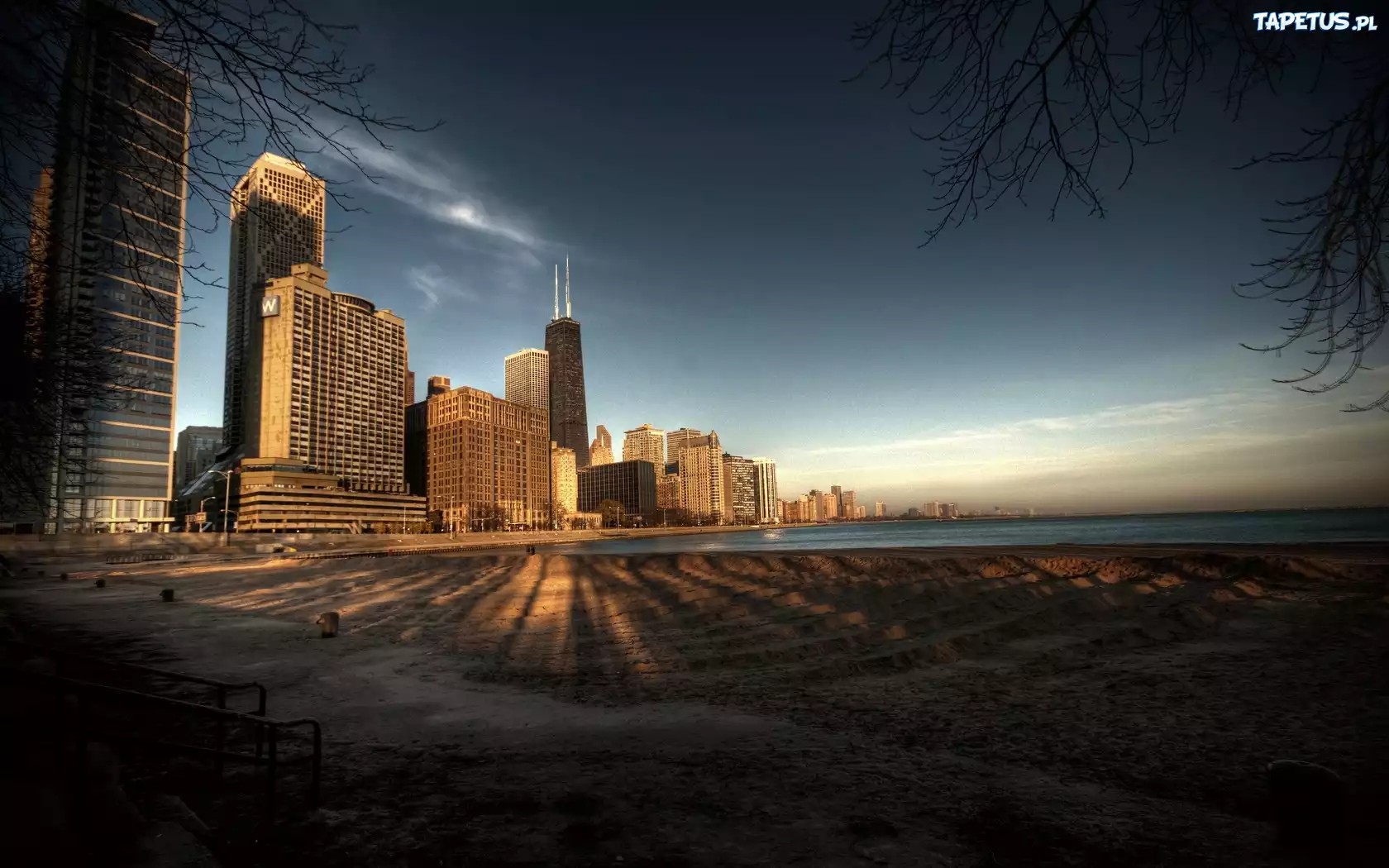 Chicago, Wieżowce